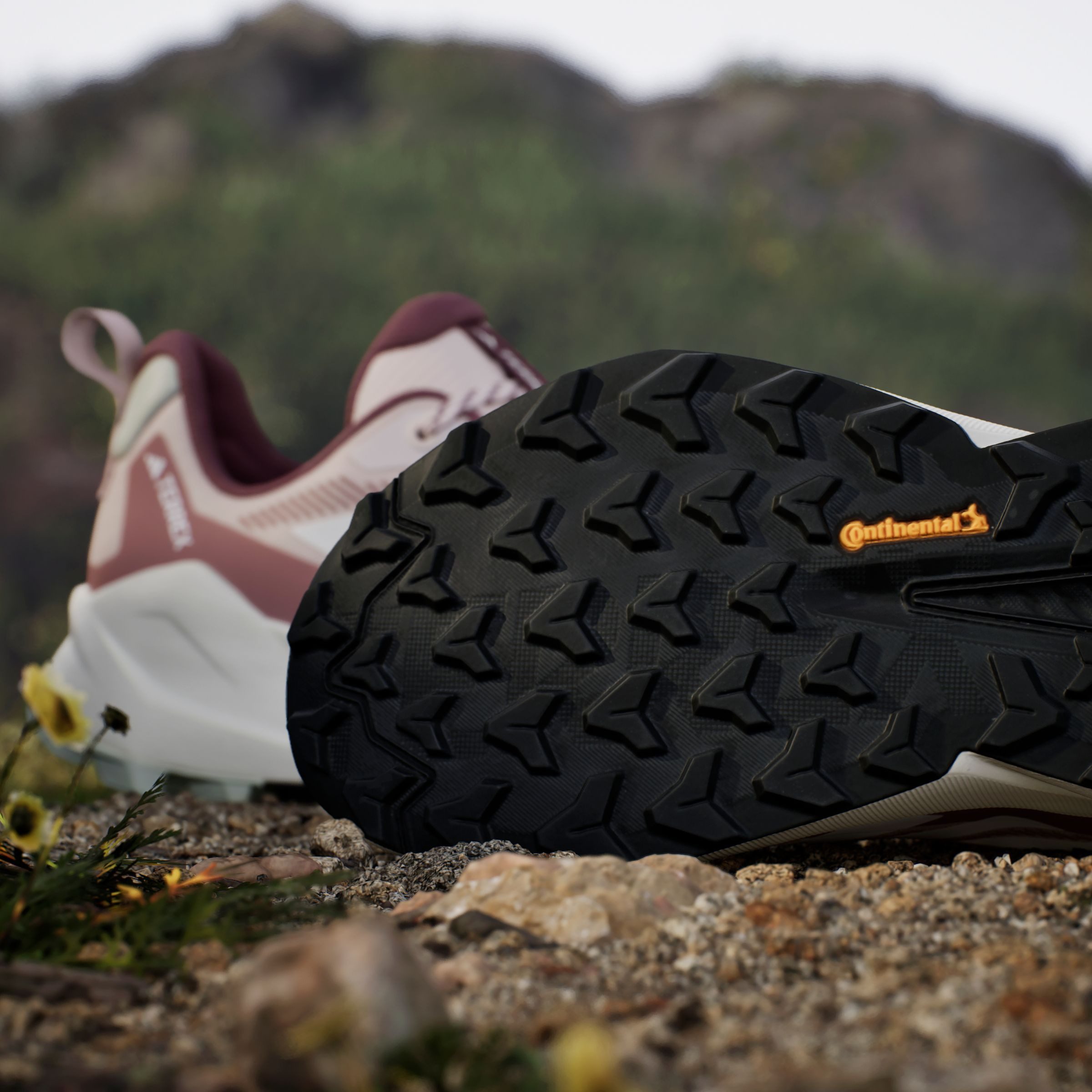 adidas TERREX Wandelschoenen