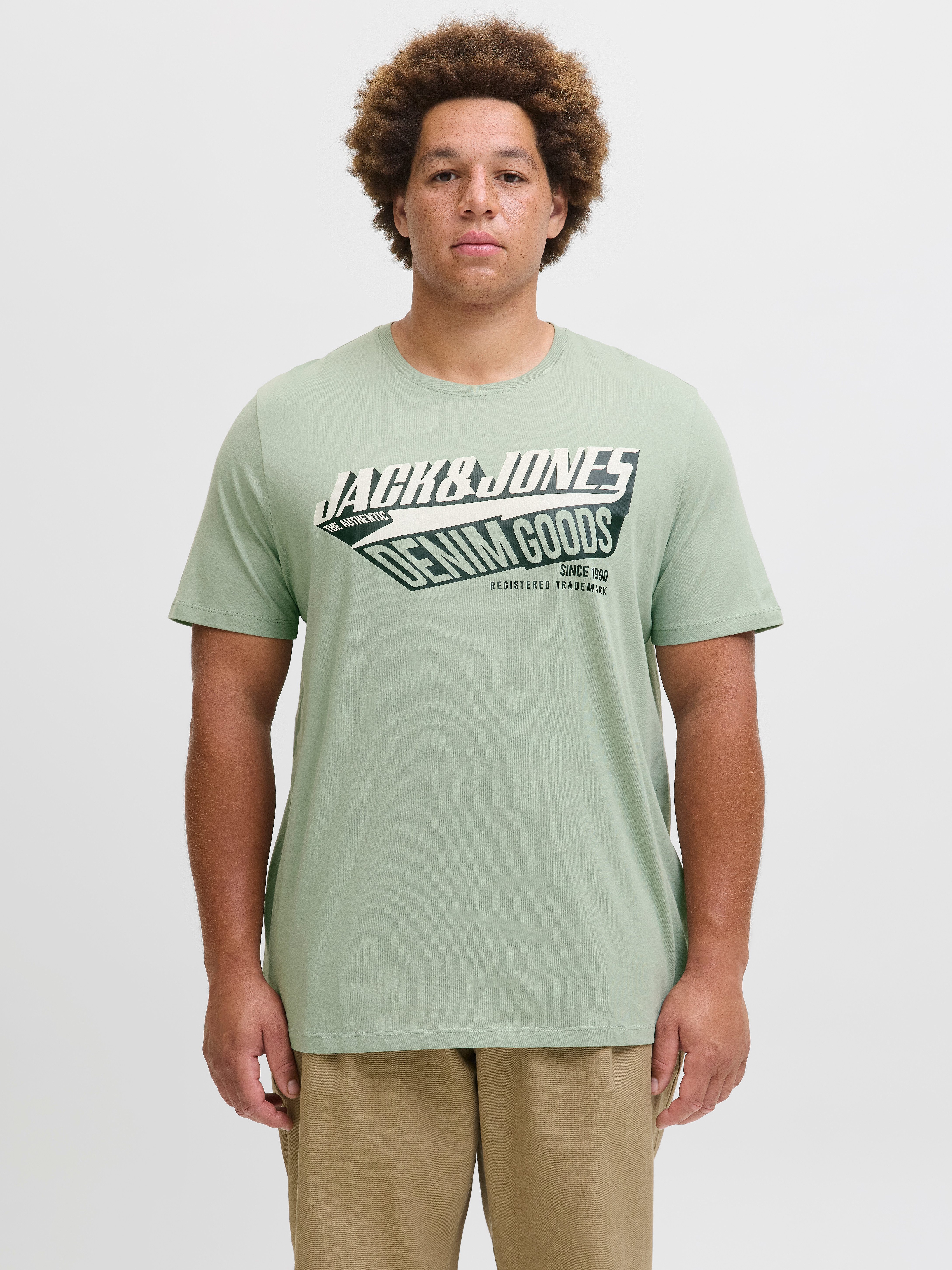 Jack & Jones PlusSize T-shirt (set, 3-delig)
