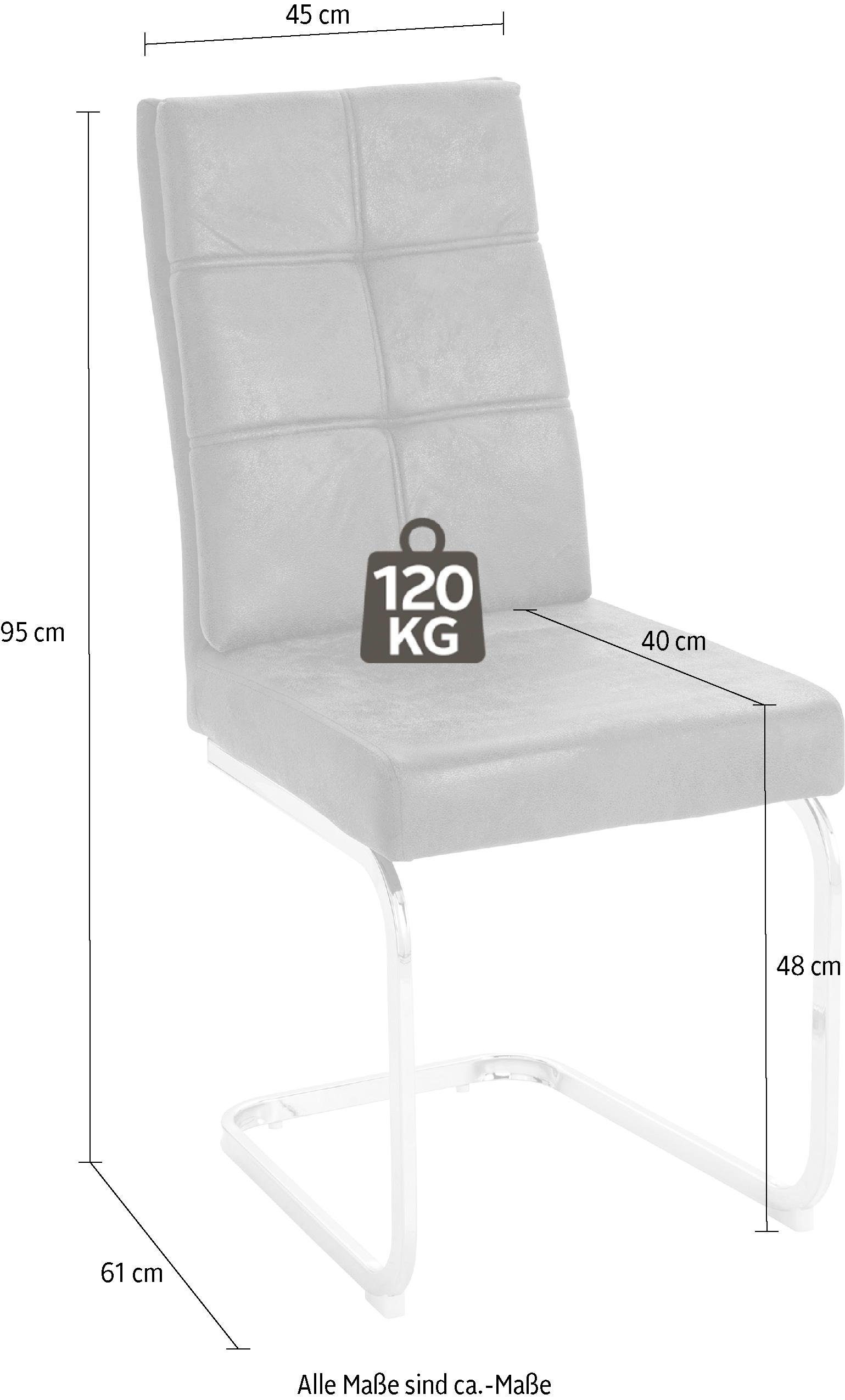 INOSIGN Eetkamerstoel Lale vrijhangende stoel (set van 2) overtrokken met robuuste microvezel, metalen frame