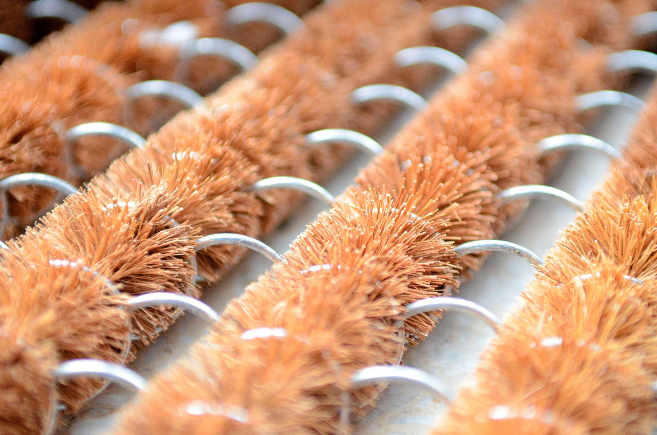 ASTRA Mat Coco Brush 561 Inloopmat, geschikt voor binnen en buiten