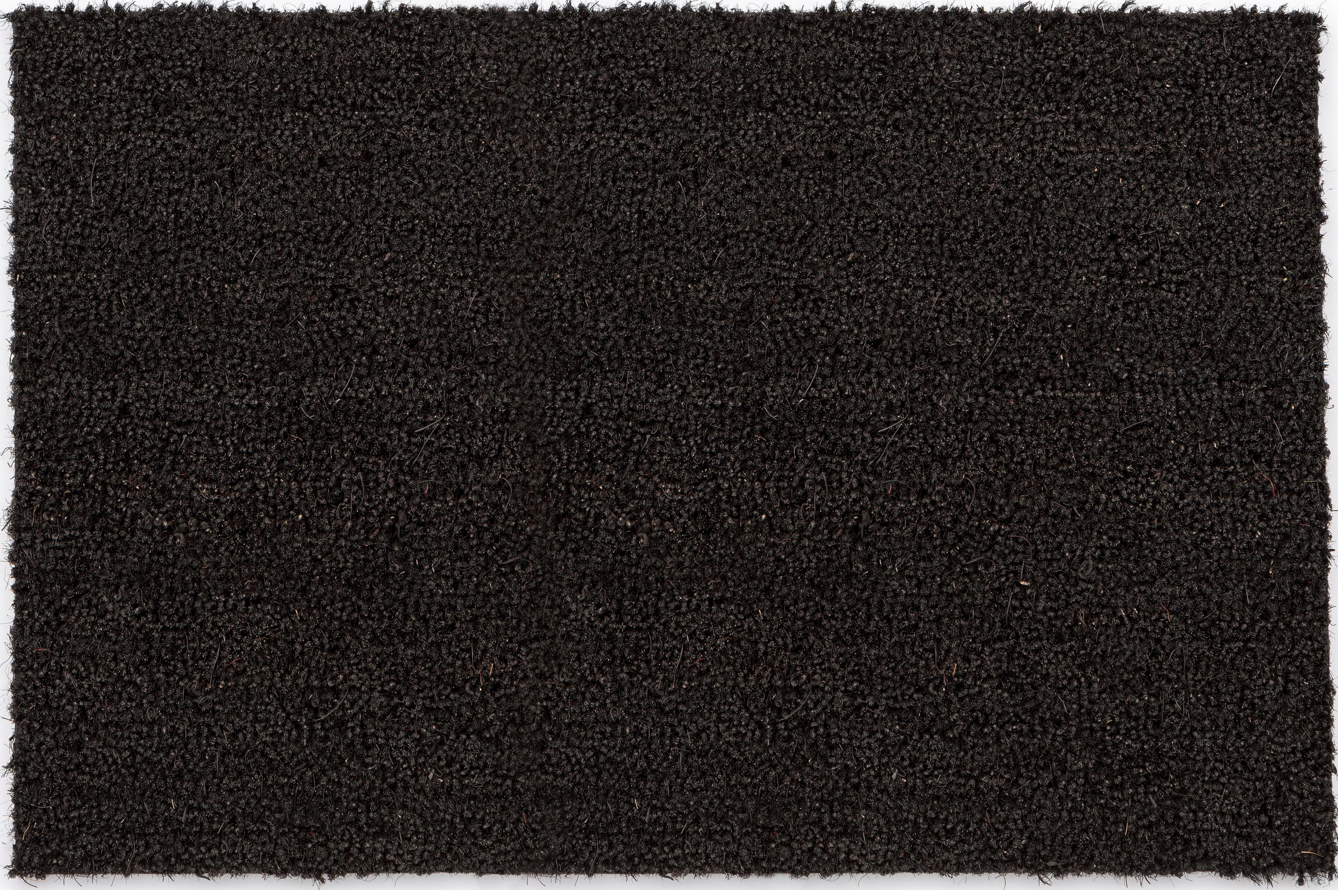 ASTRA Mat Kokosvelours 106 Inloopmat, kokosmat, geschikt voor binnen en buiten deurmatten maat 50x80 cm zwart