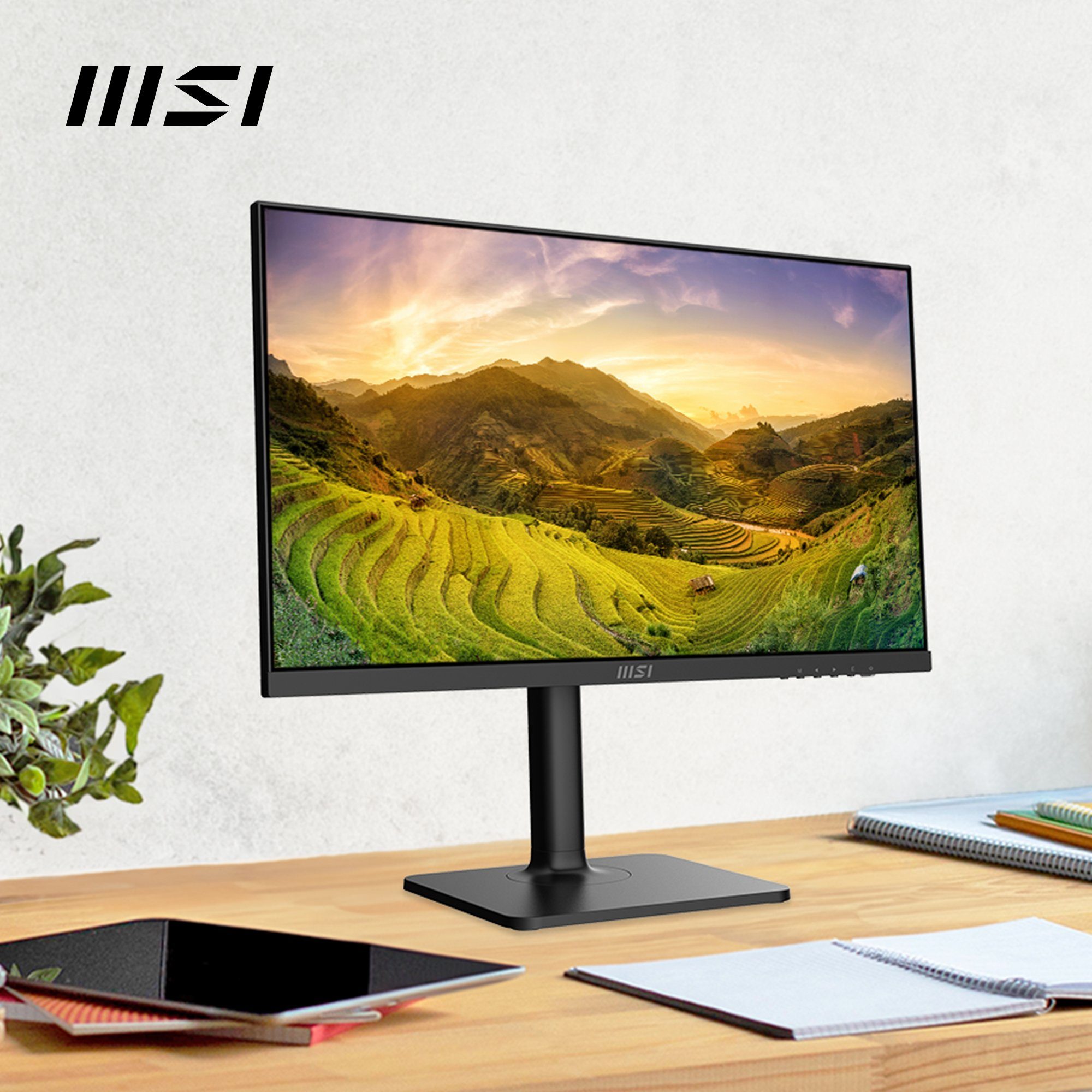 MSI Ledscherm Modern MD2412P, 60 cm / 24", Full HD