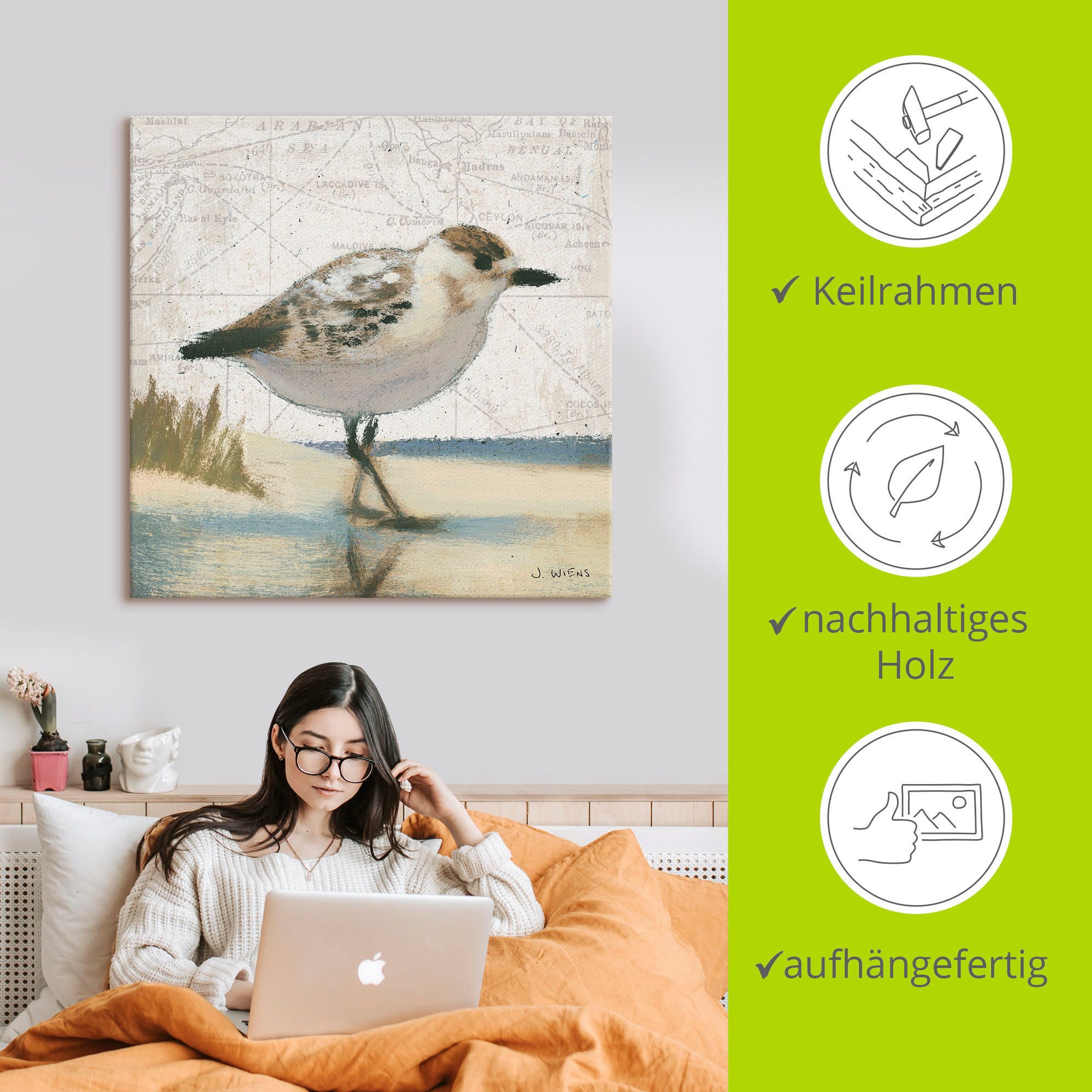 Artland Artprint Meeuw I als artprint op linnen, muursticker in verschillende maten