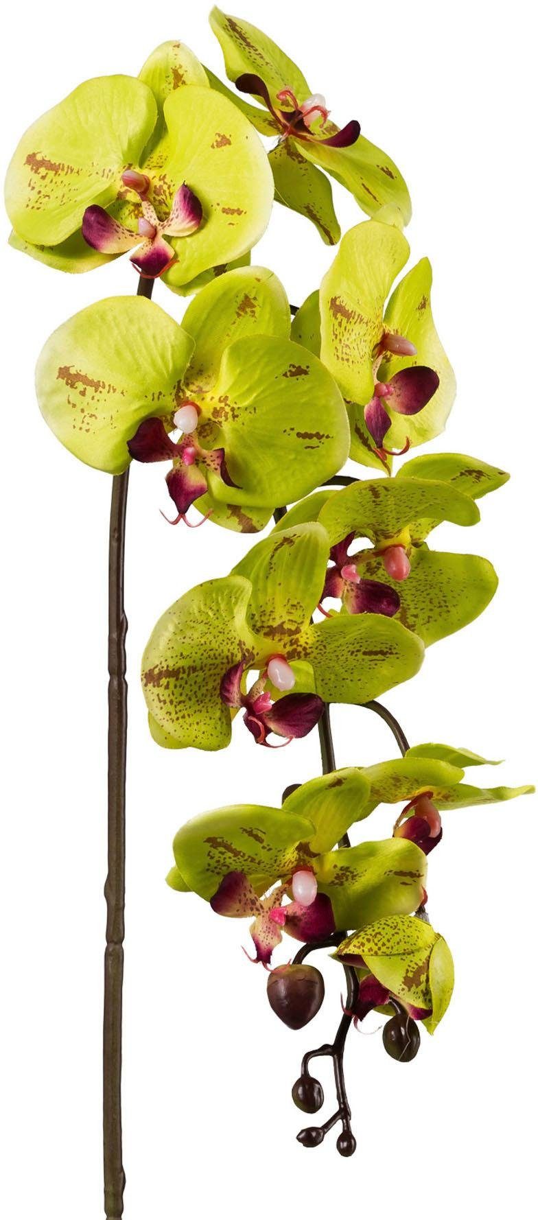 Creativ green Kunstplant set van 3 (3 stuks)