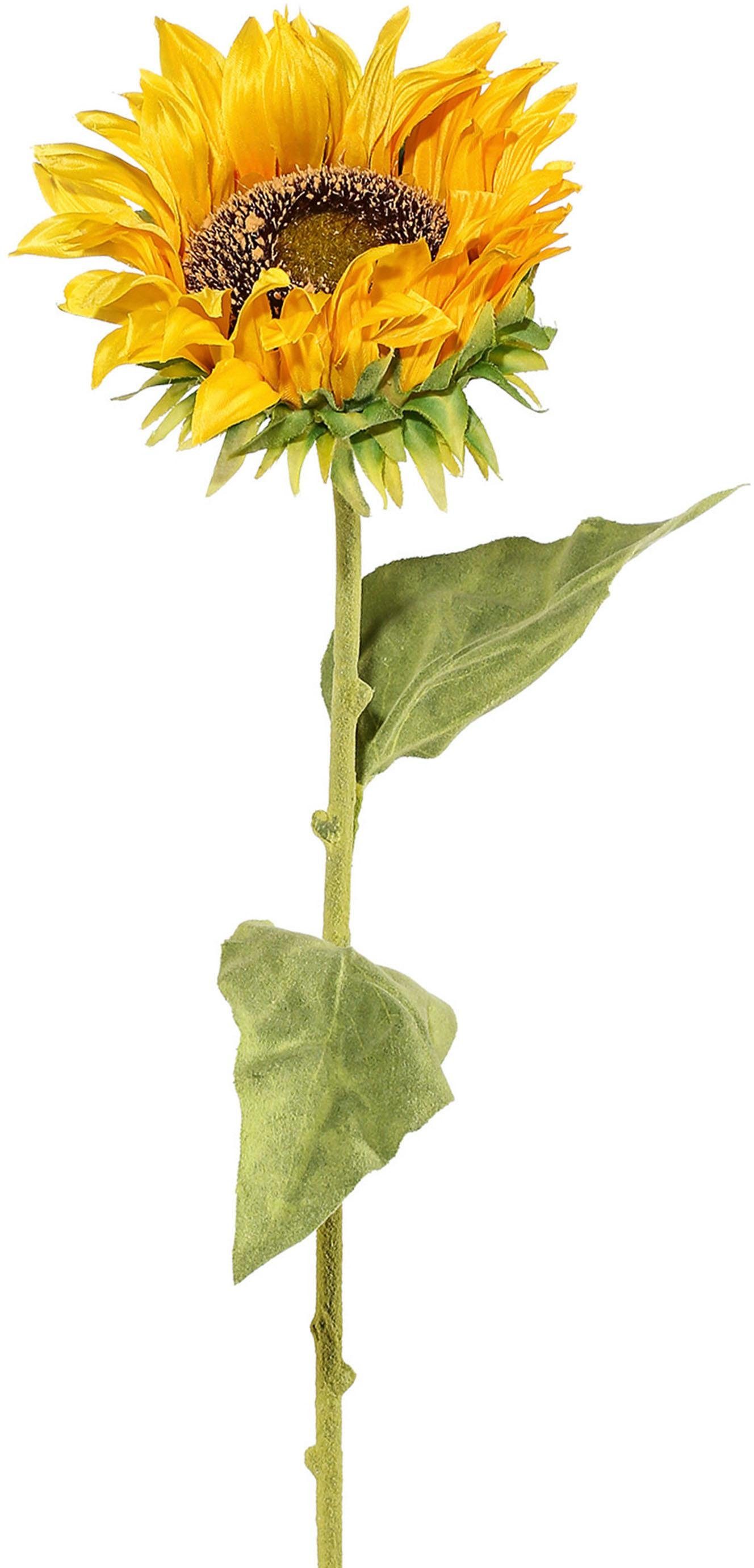 Creativ green Kunstbloem set van 6 (6 stuks)
