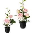 creativ green kunst-potplanten set van 2 (2 stuks) roze