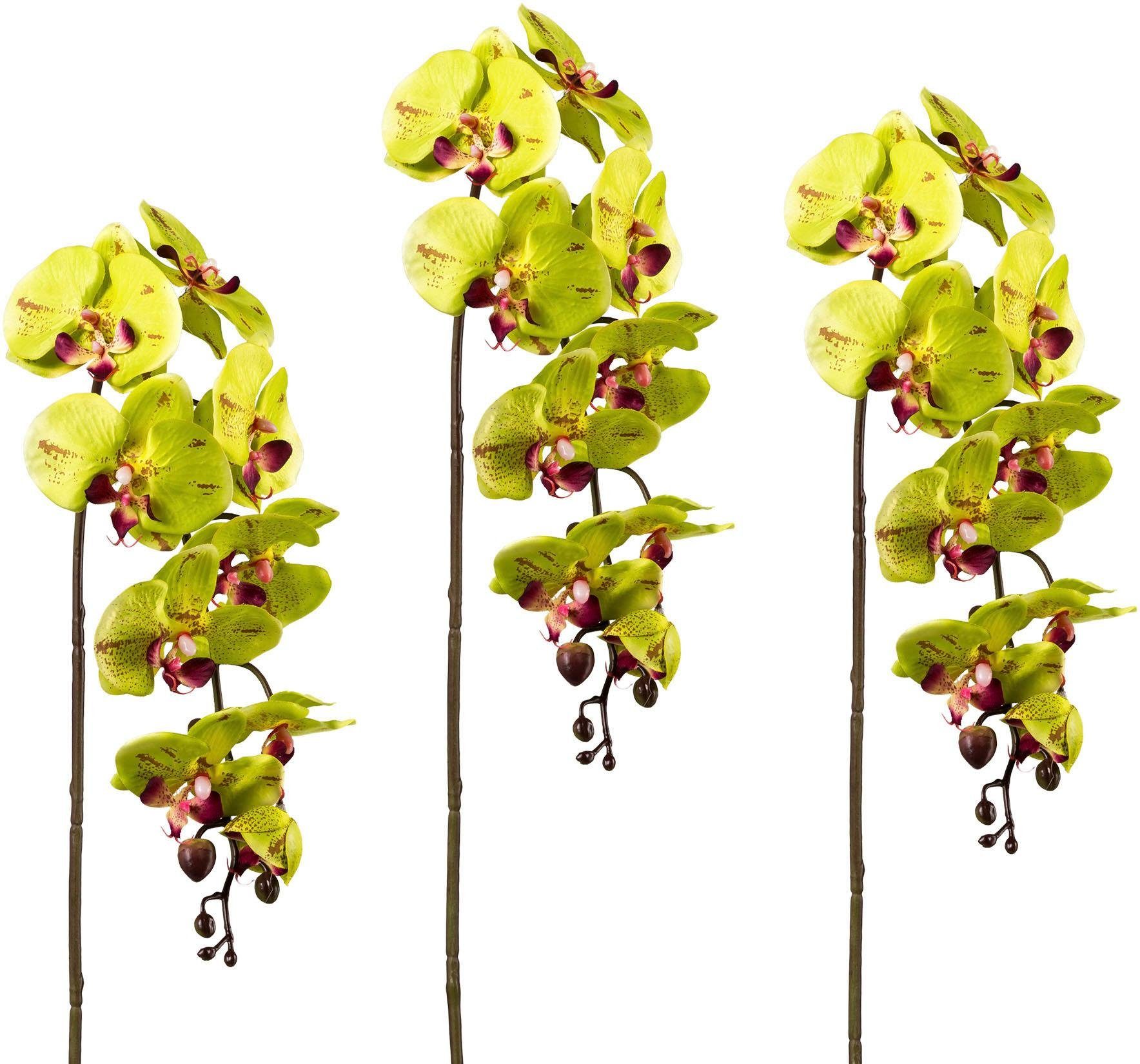 Creativ green Kunstplant set van 3 (3 stuks) kunstplanten groen