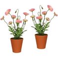 creativ green kunst-potplanten in aarden pot (set van 2) roze