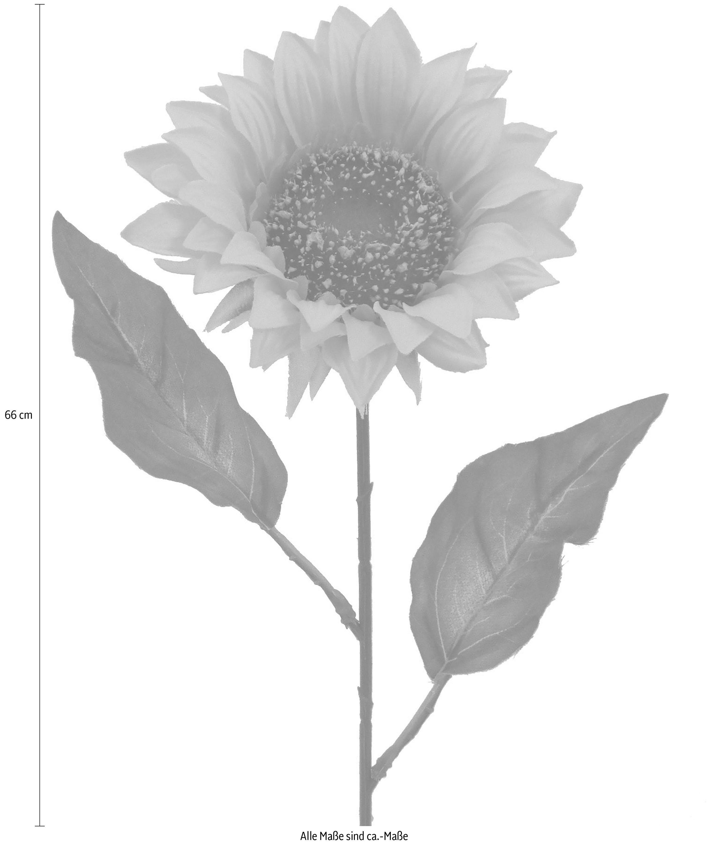 Creativ green Kunstbloem set van 7 (7 stuks)