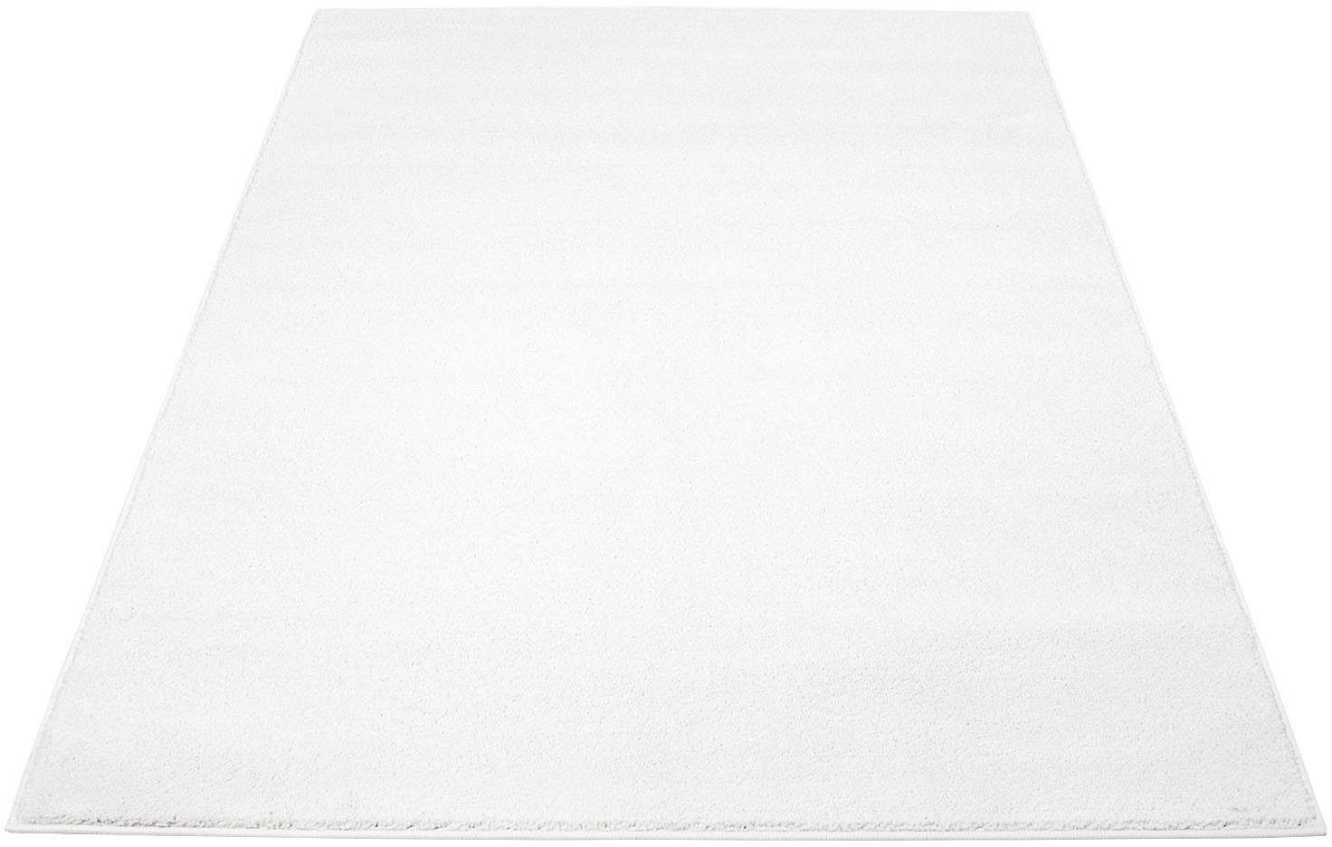 Carpet City Vloerkleed Moda Soft 2081 Korte pool, unikleuren, zachte pool