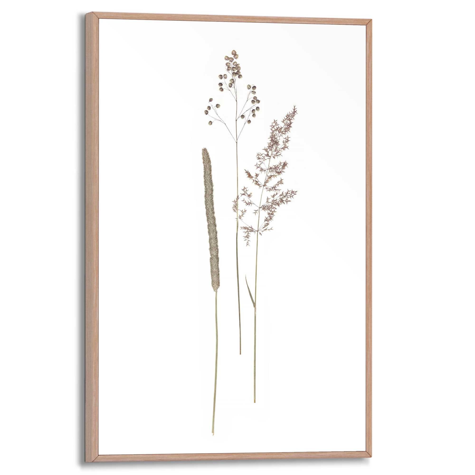 Reinders! Artprint met lijst Dried Flowers