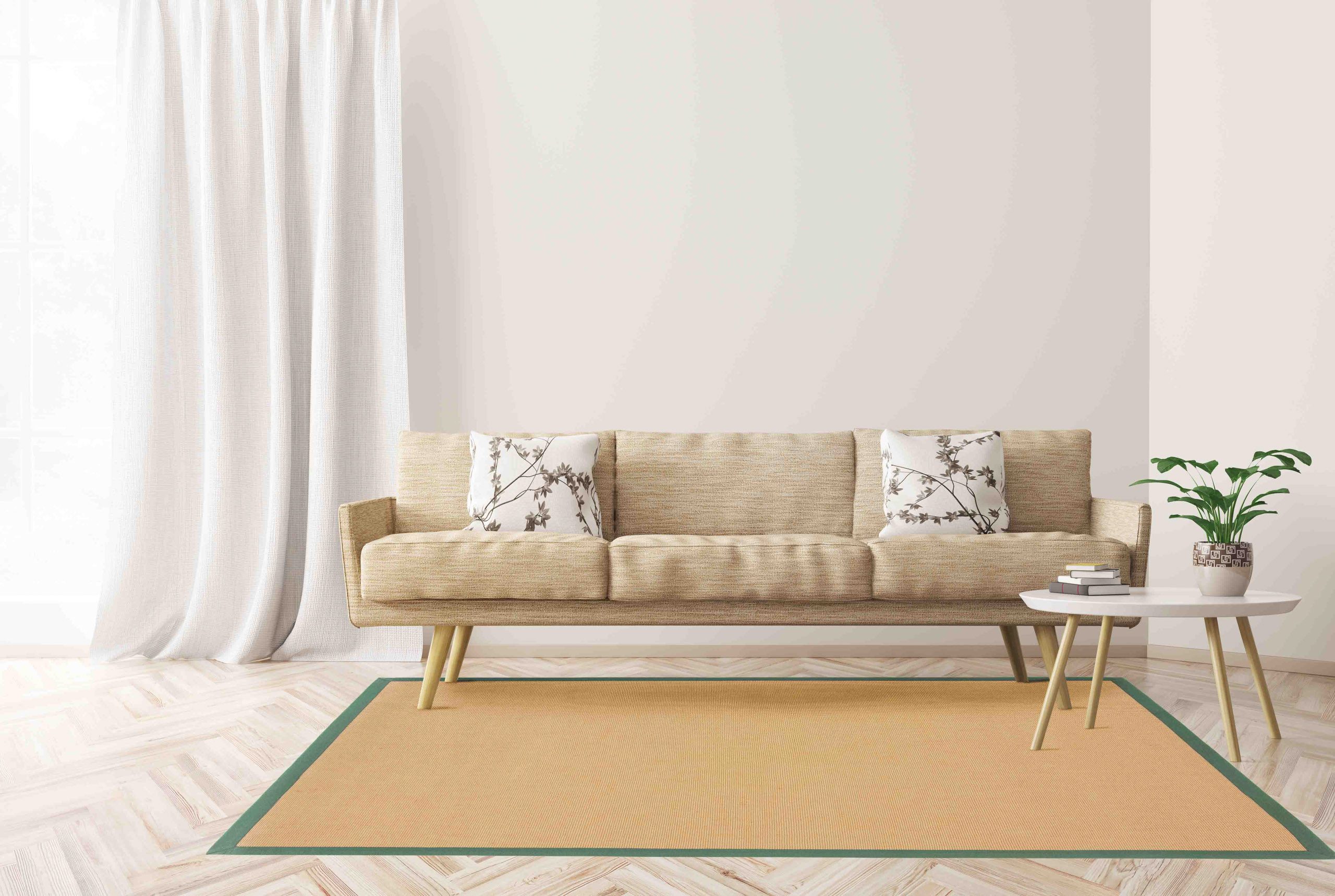 carpetfine Sisalkleed Sisal met gekleurd randdessin, antislip achterzijde sisal vloerkleden maat 80 cm x 150 cm x 5 mm groen