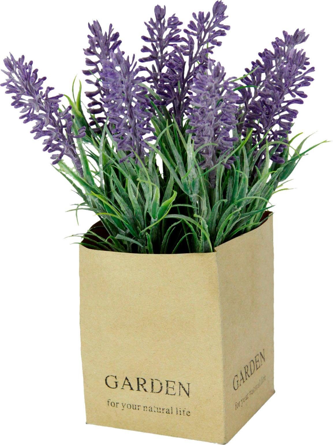 I.GE.A. Kunstbloem in de pot (set, 3 stuks)