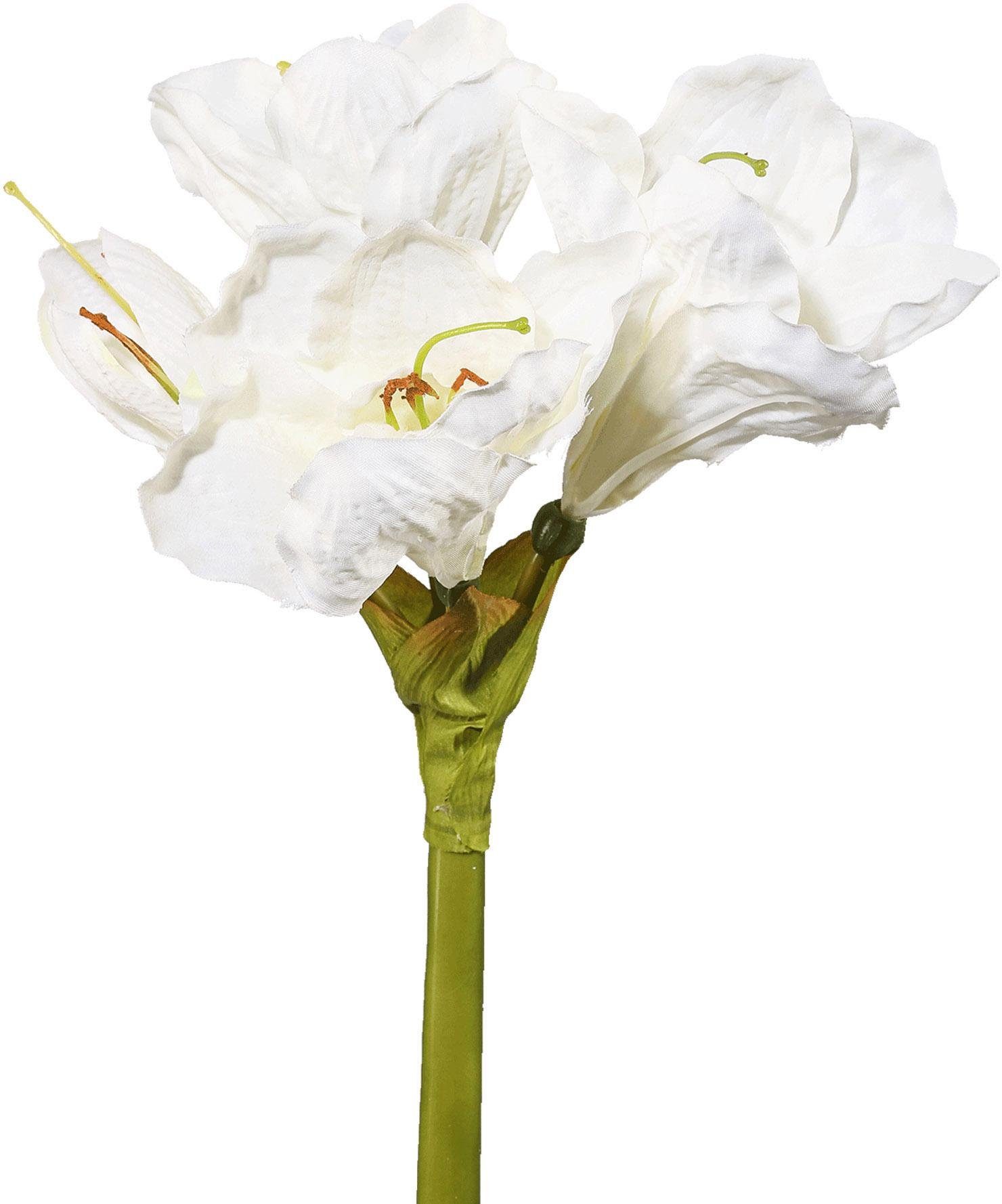 Creativ deco Siervaas Kerst versiering met hoogwaardige amaryllis (set, 4 stuks)