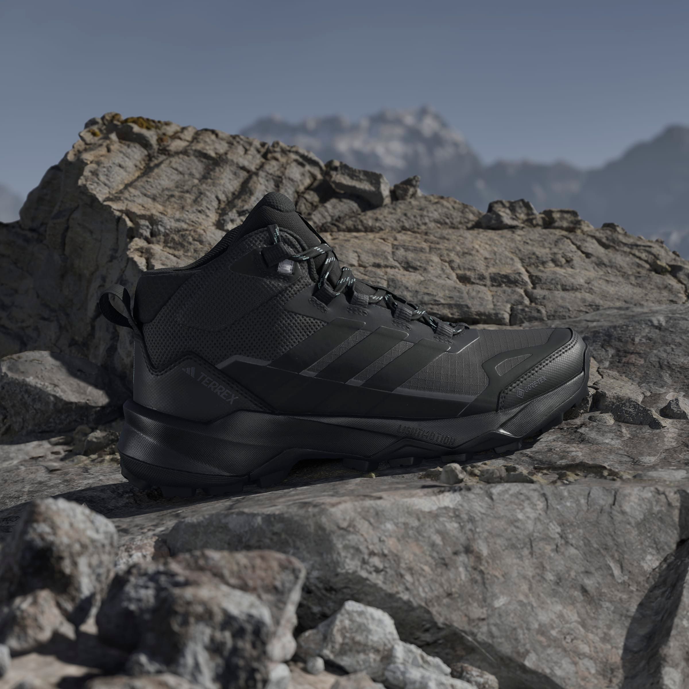 adidas TERREX Wandelschoenen TERREX SKYCHASER AX5 MID GORE-TEX E