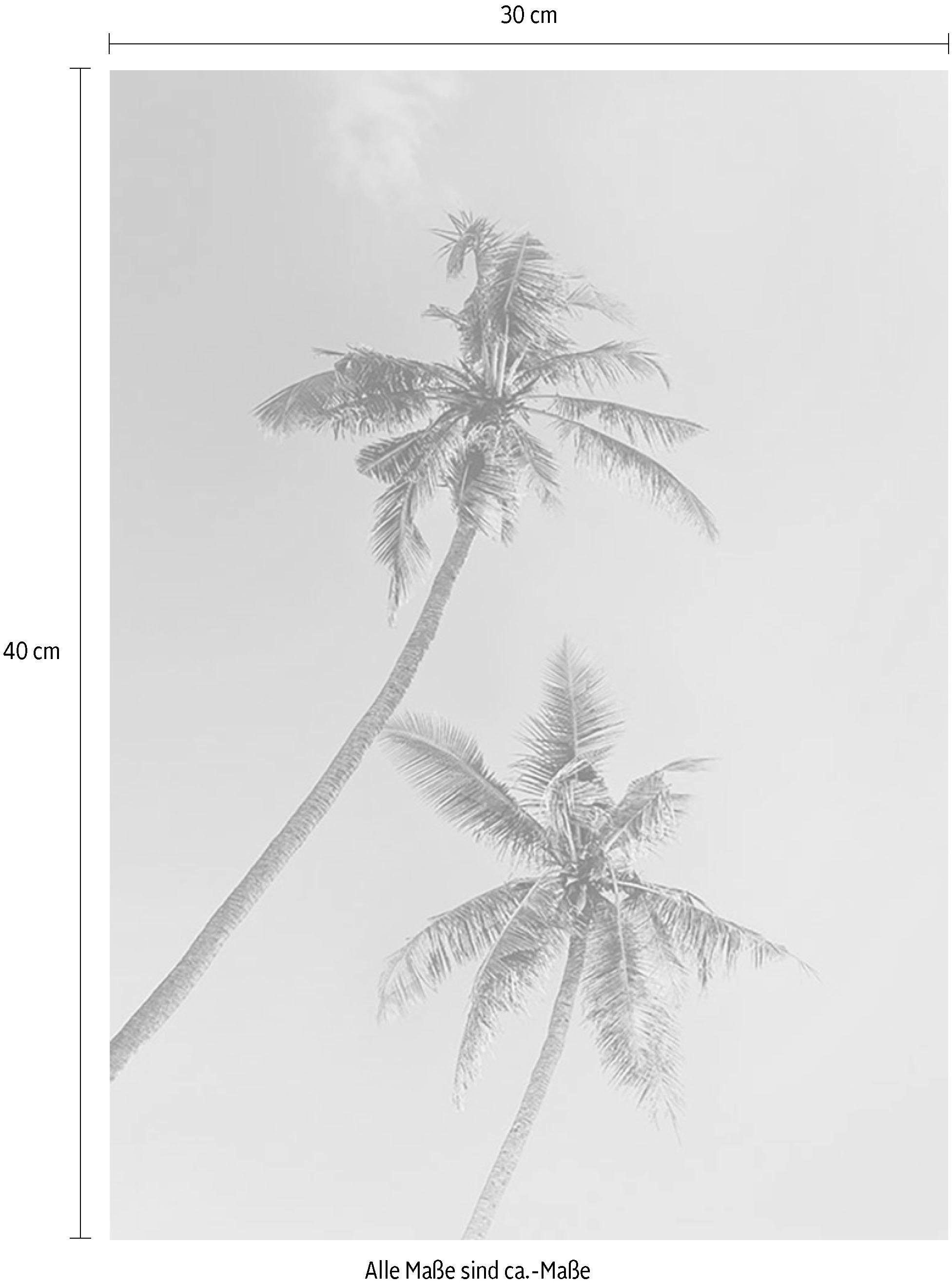 Komar Wanddecoratie Miami Palms Wanddecoratie - zonder lijst (1 stuk)