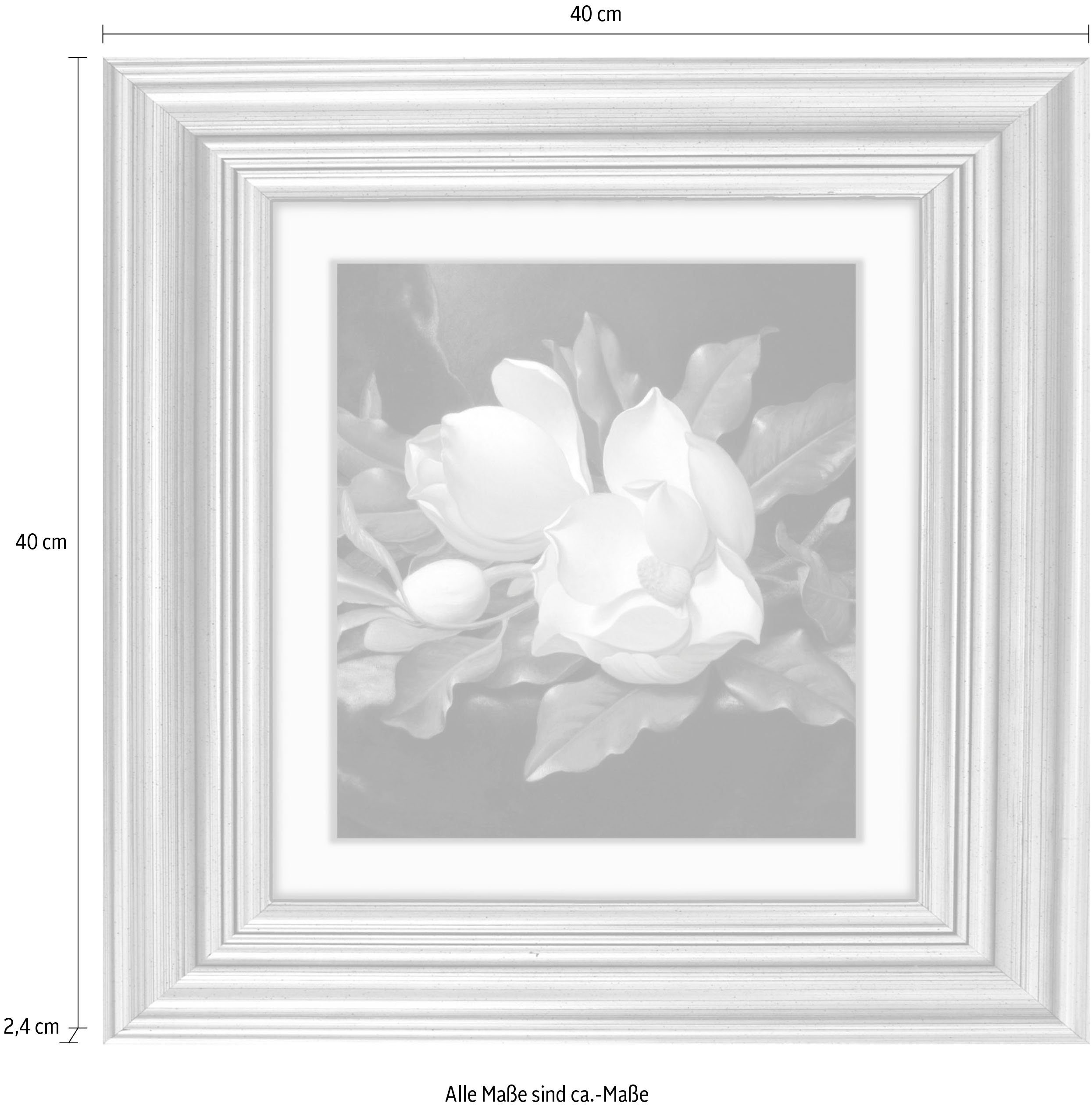 queence Artprint op acrylglas Bloemen Fine Art-print in galeriekwaliteit