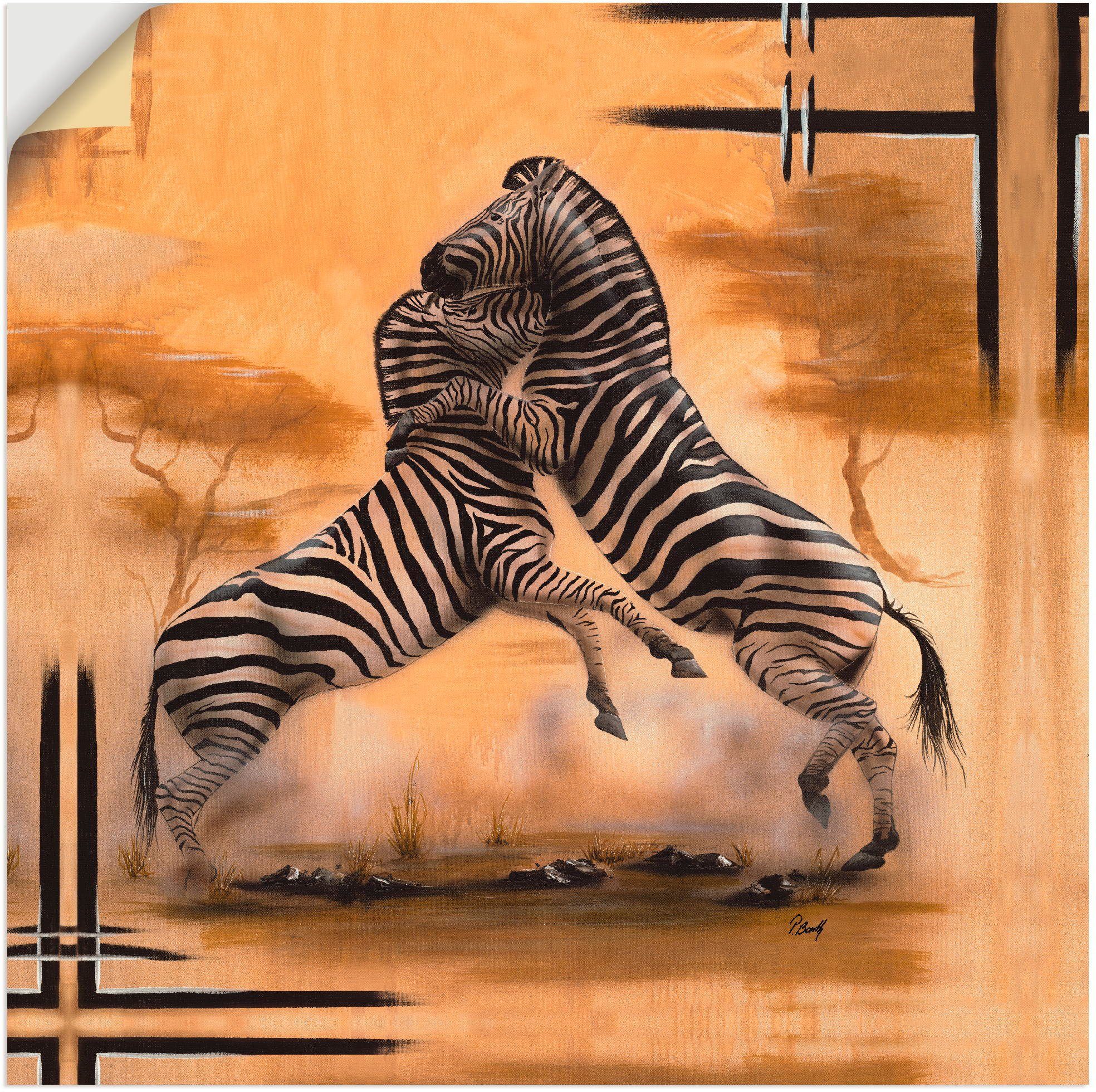 Artland Artprint Zebra-strijd in vele afmetingen & productsoorten - artprint van aluminium / artprint voor buiten, artprint op linnen, poster, muursticker / wandfolie ook geschikt
