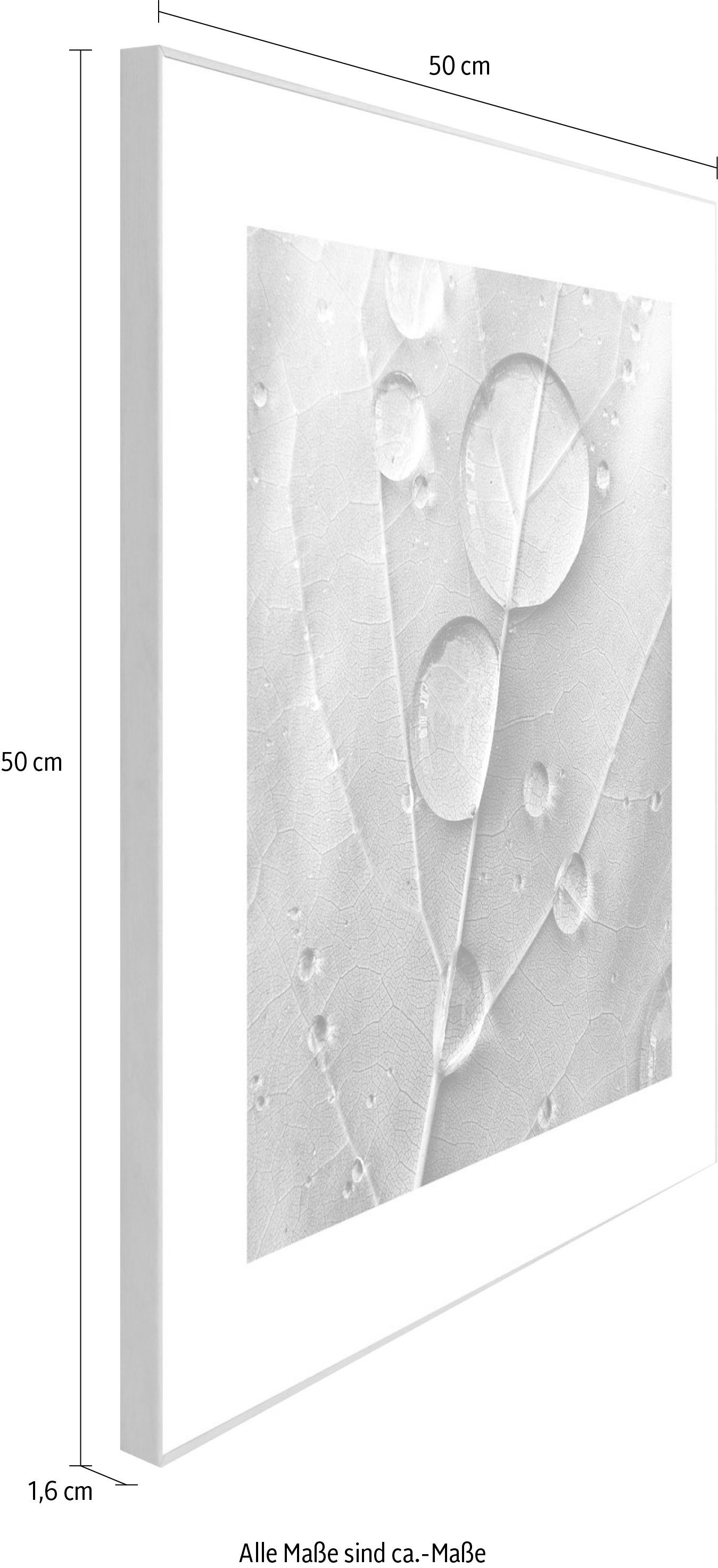 Reinders! Artprint Slim Frame Wood 50x50 Dew Drops