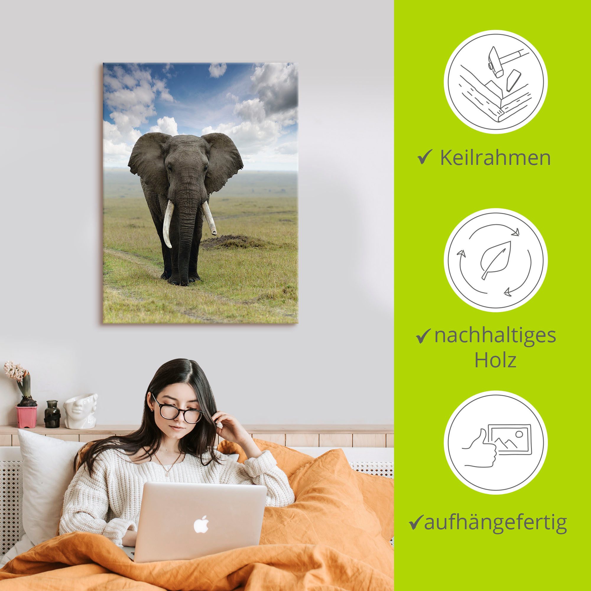 Artland Artprint Olifant als artprint van aluminium, artprint voor buiten, artprint op linnen, poster in verschillende maten. maten