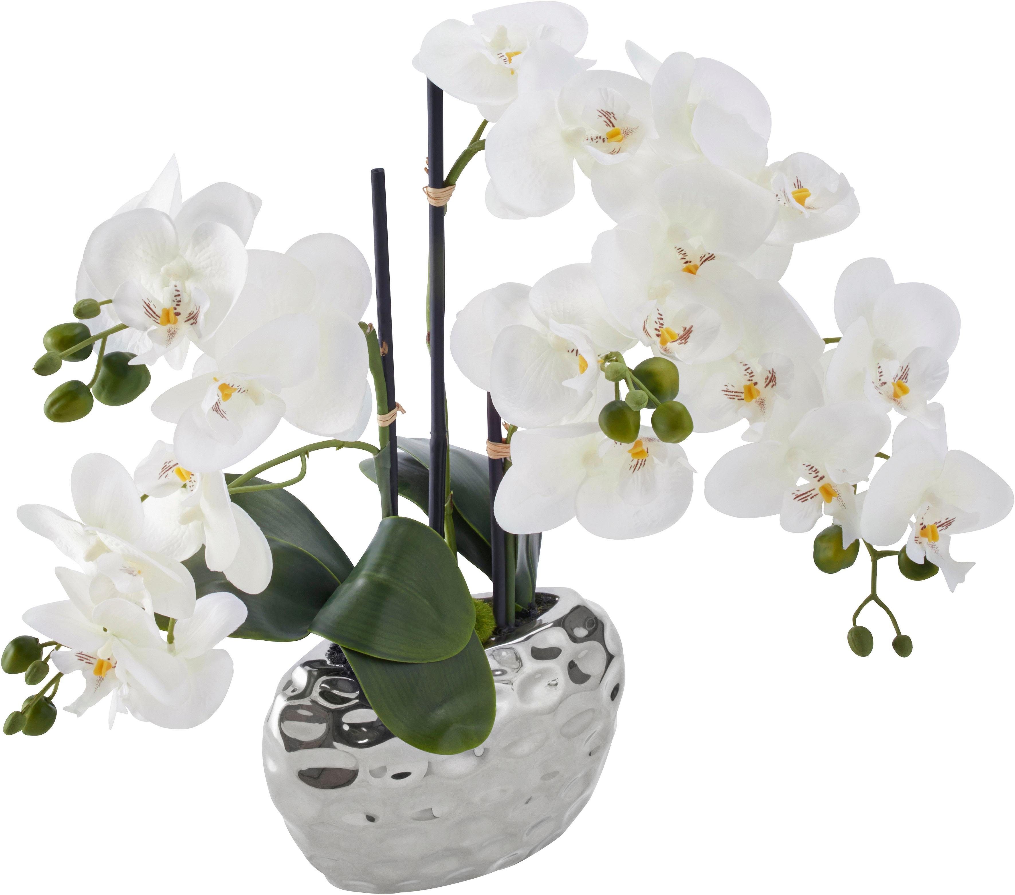 Creativ green Kunstplant Orchidee (1 stuk)