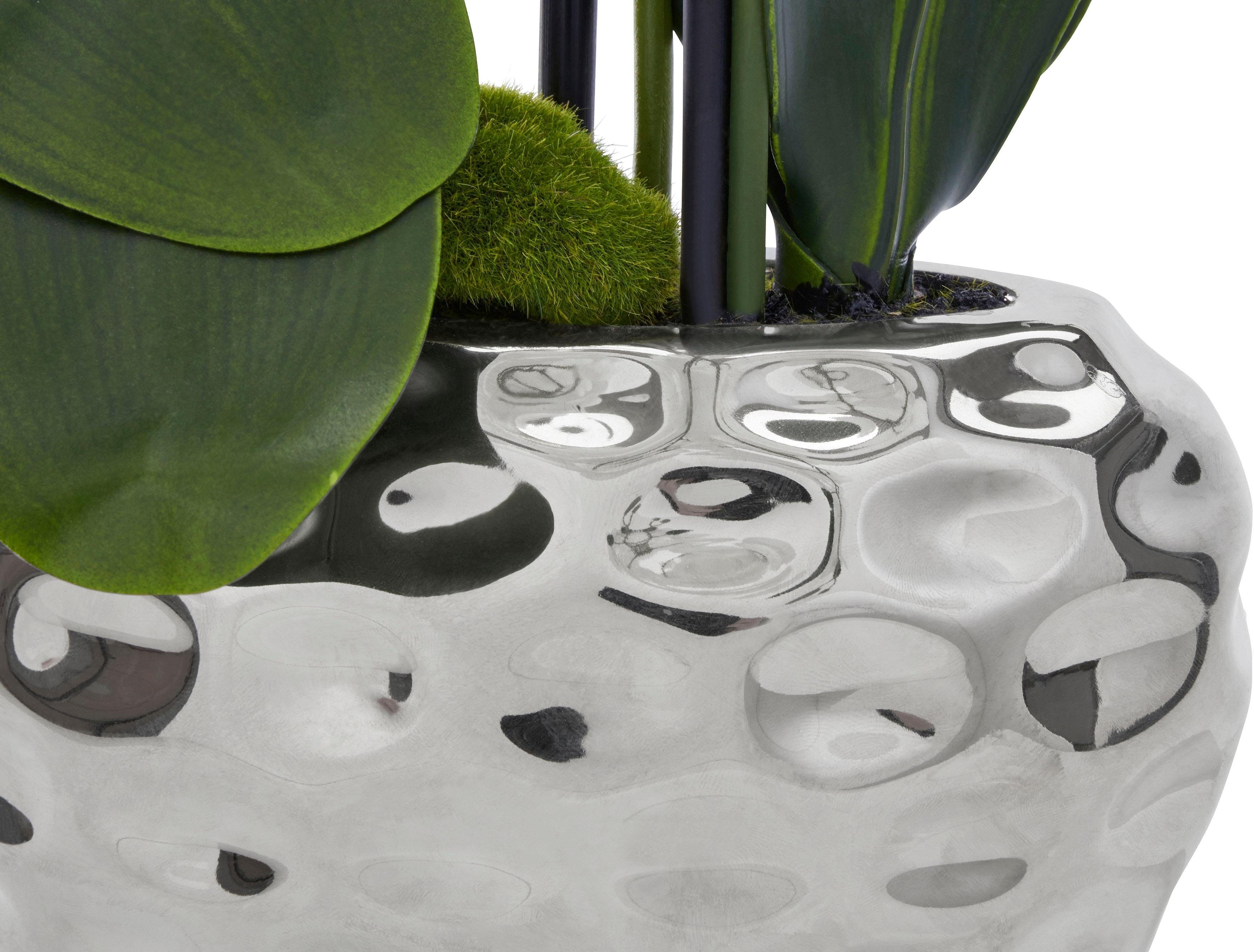 Creativ green Kunstplant Orchidee (1 stuk)