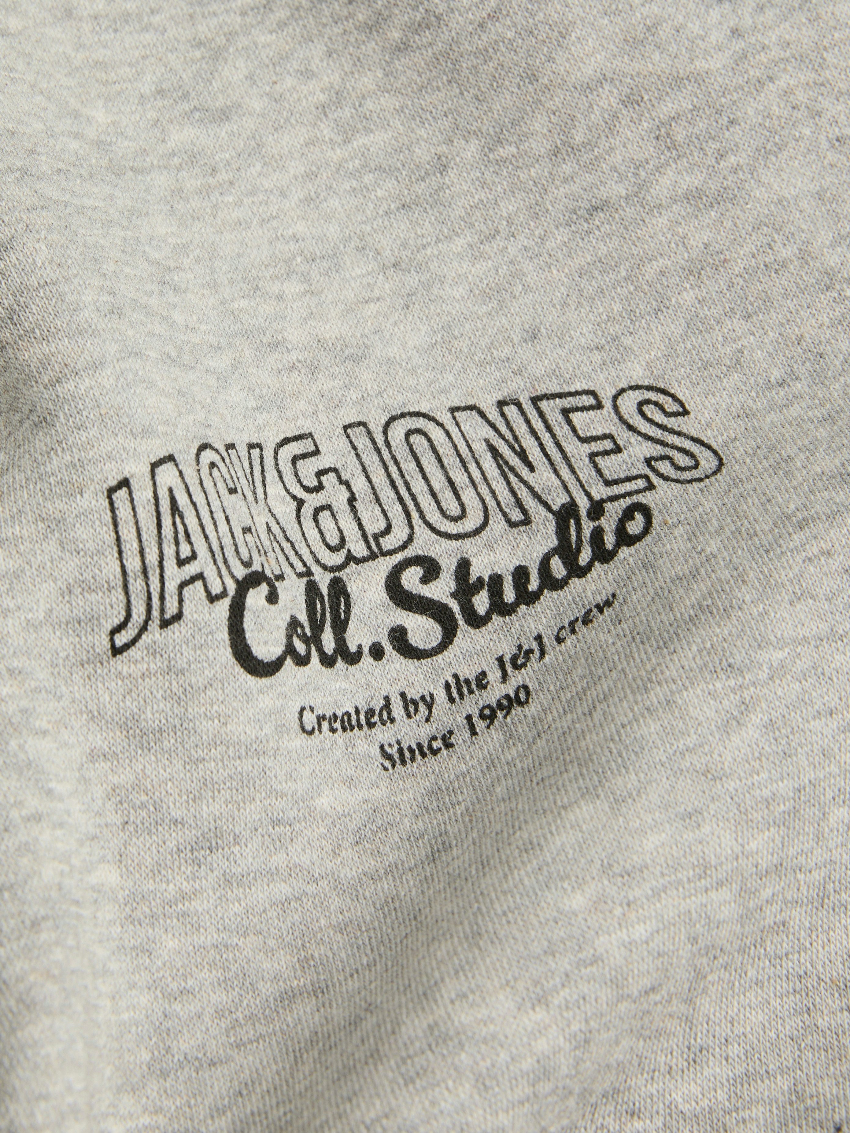 Jack & Jones Capuchonsweatvest JJMAKOTO SWEAT ZIP HOOD