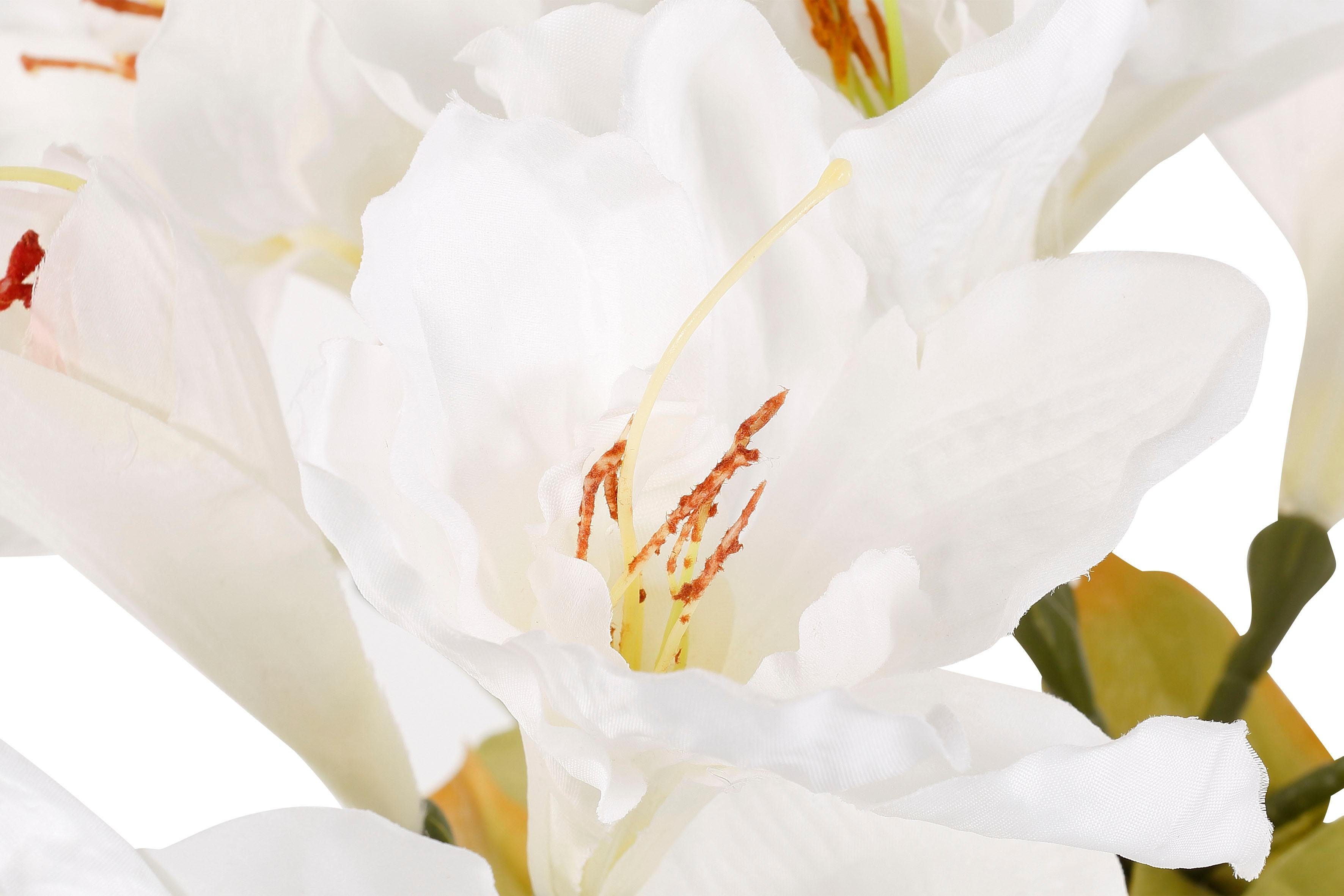 Creativ deco Siervaas Kerst versiering met hoogwaardige amaryllis (set, 4 stuks)