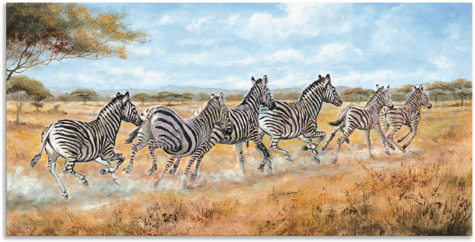 Artland Aluminium dibond print Lopende zebra’s geschikt voor binnen en buiten, buitenafbeelding schilderijen beige