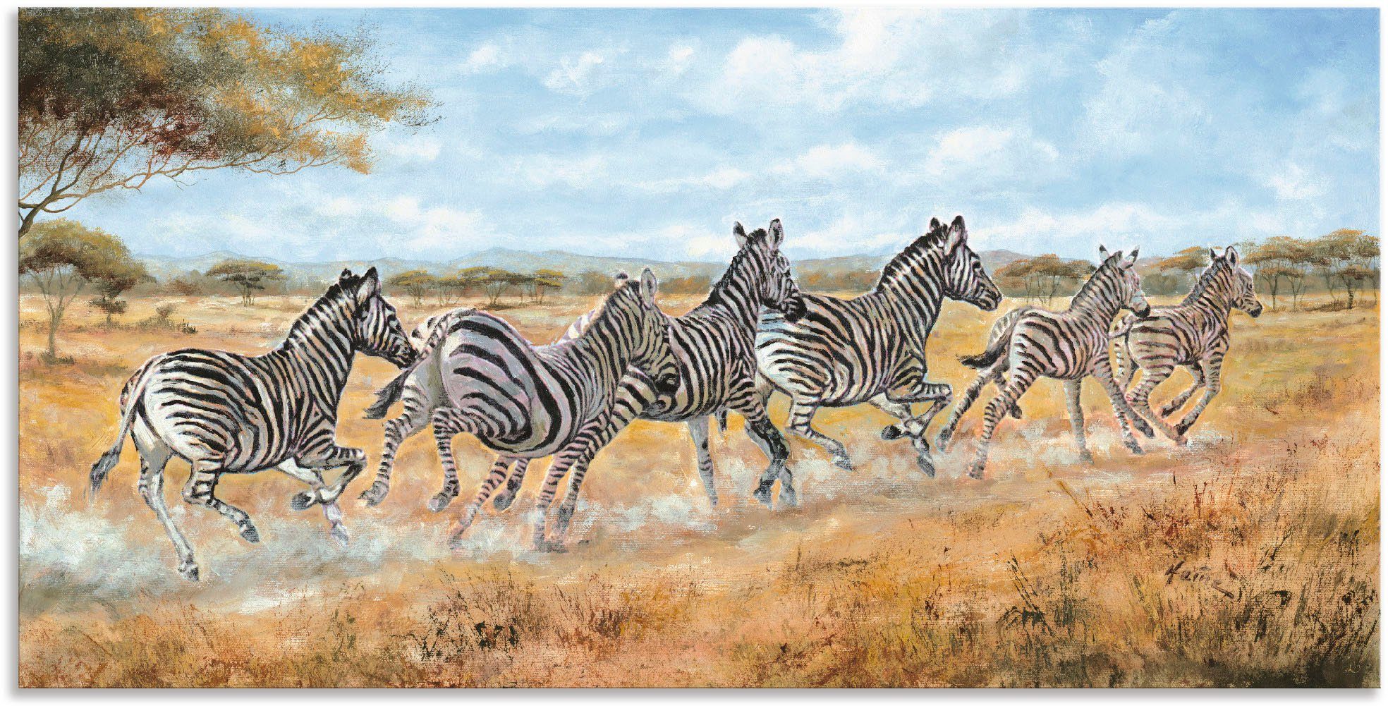 Artland Artprint Lopende zebra’s in vele afmetingen & productsoorten - artprint van aluminium / artprint voor buiten, artprint op linnen, poster, muursticker / wandfolie ook geschi