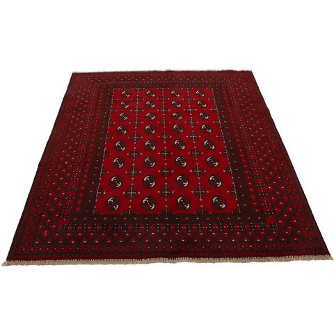 Woven Arts Oosters tapijt Afghan Akhche Bokhara