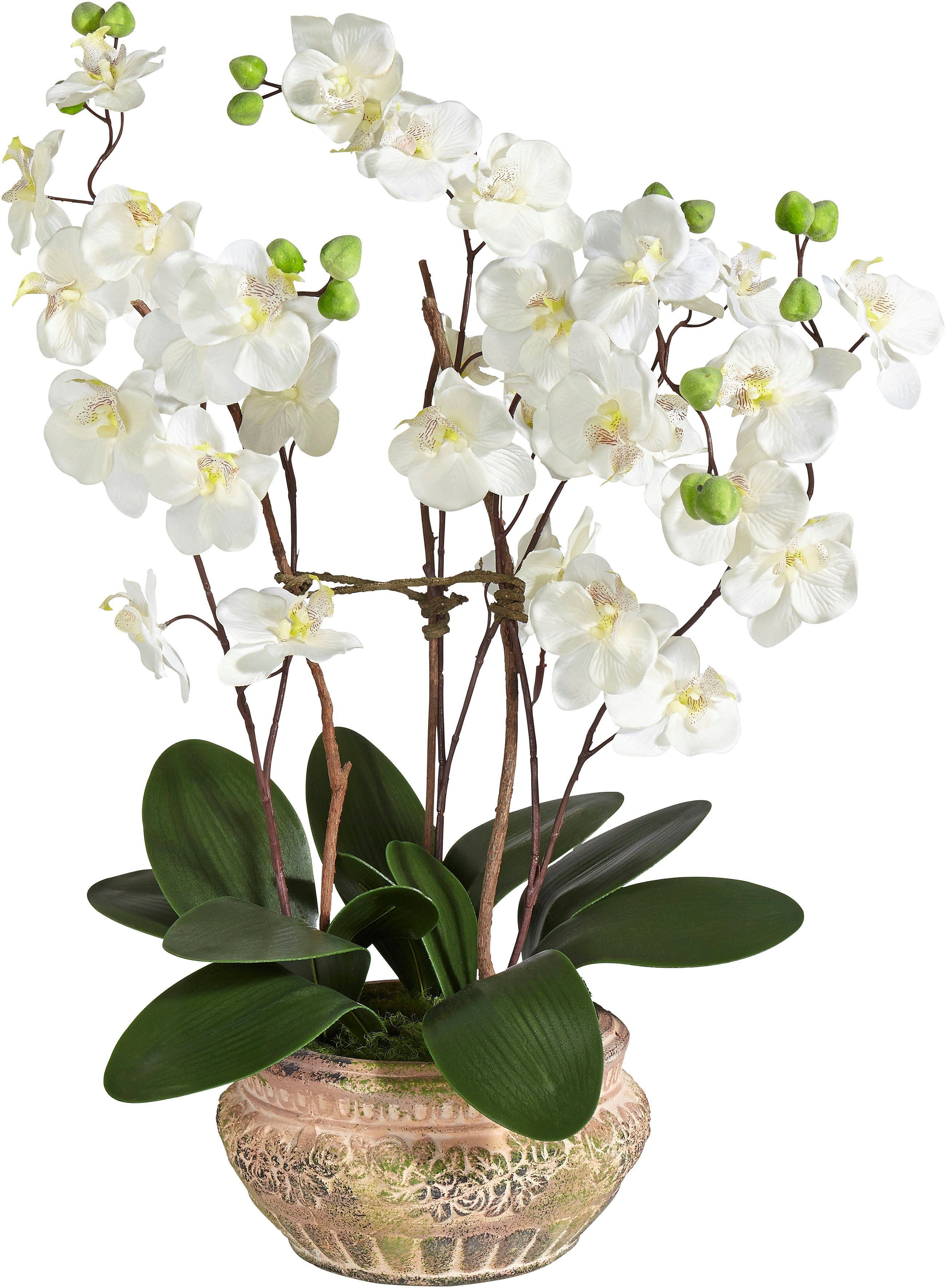 Schneider Kunstplant Orchidee