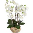 schneider kunstplant orchidee wit