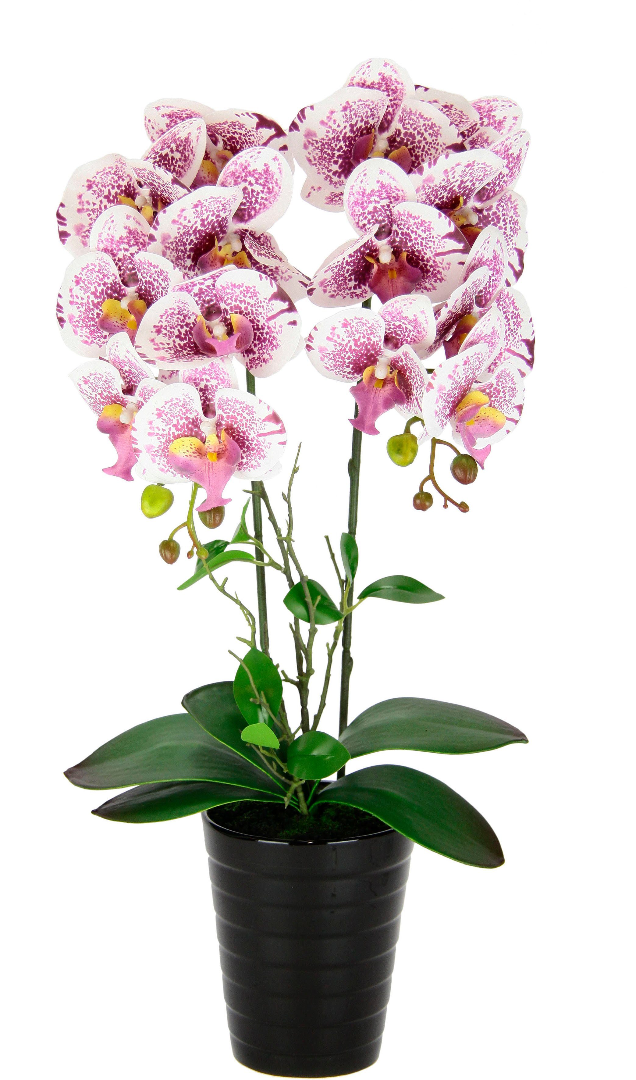 I.GE.A. Kunstbloem Orchidee