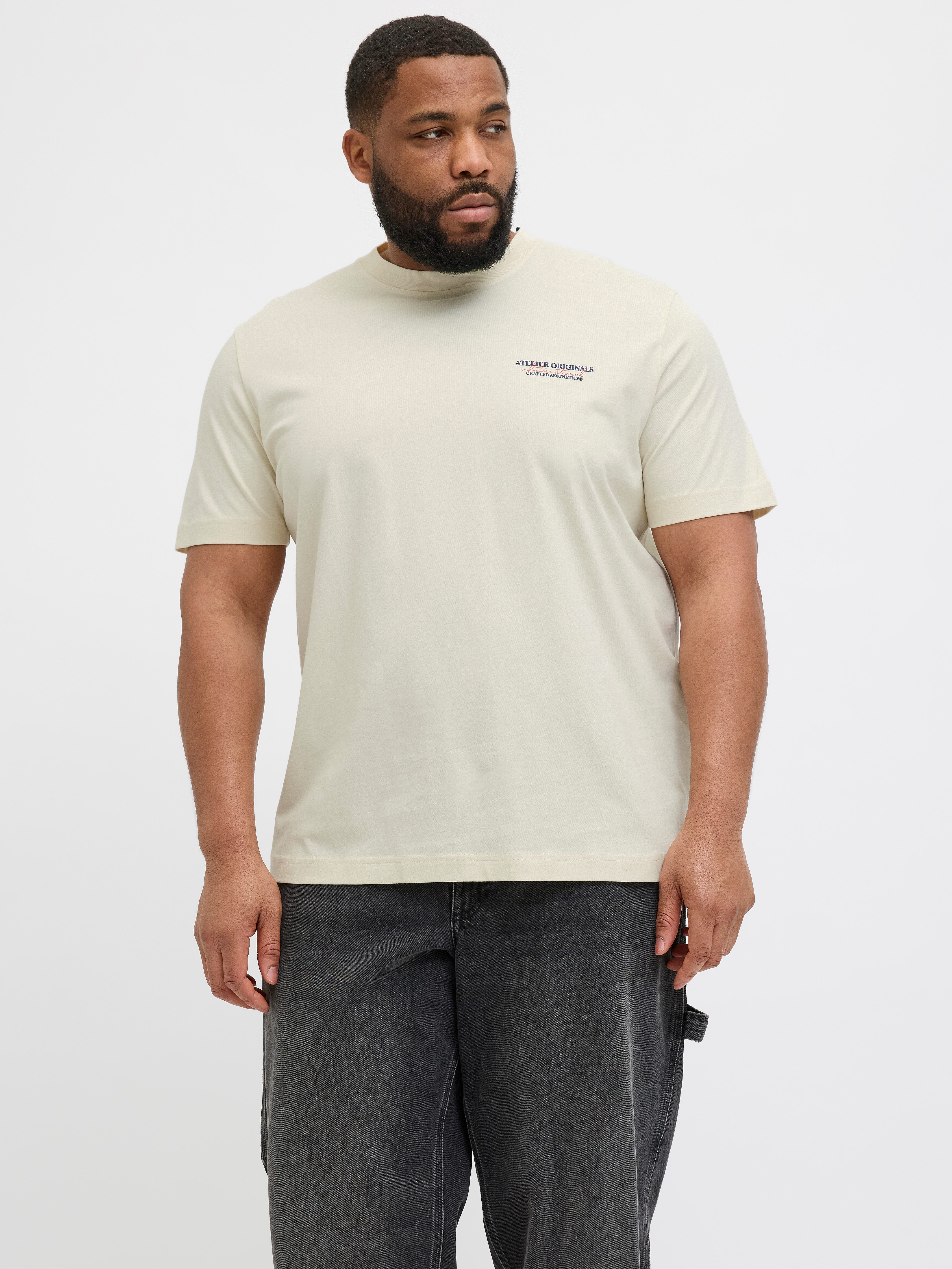 Jack & Jones PlusSize Shirt met korte mouwen JORISLINGTON TYPE TEE SS CREW NECK PLS
