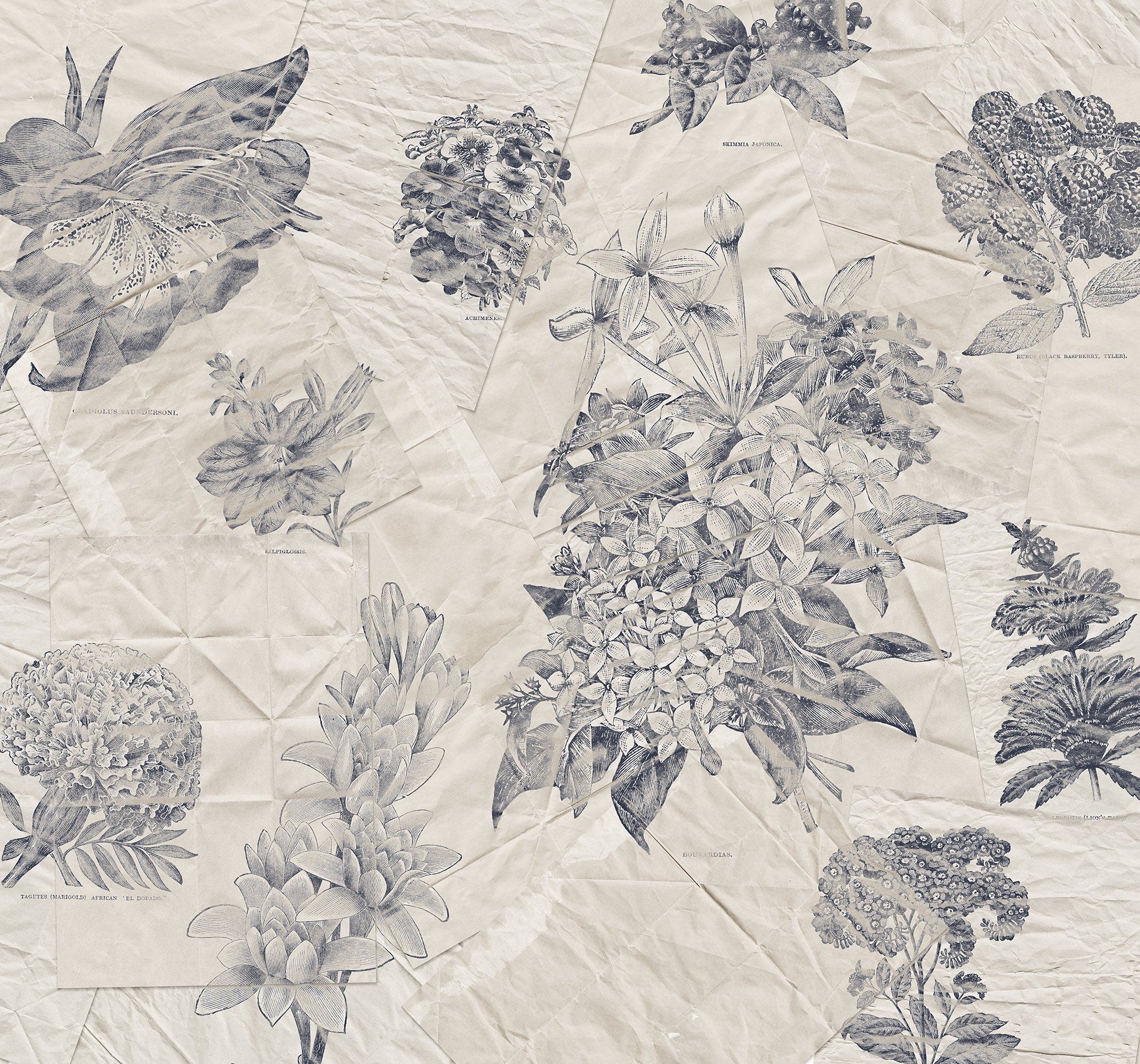 Komar Fotobehang Digitale print vlies - Botanical Papers - Afmeting 300 x 280 cm (1 stuk)