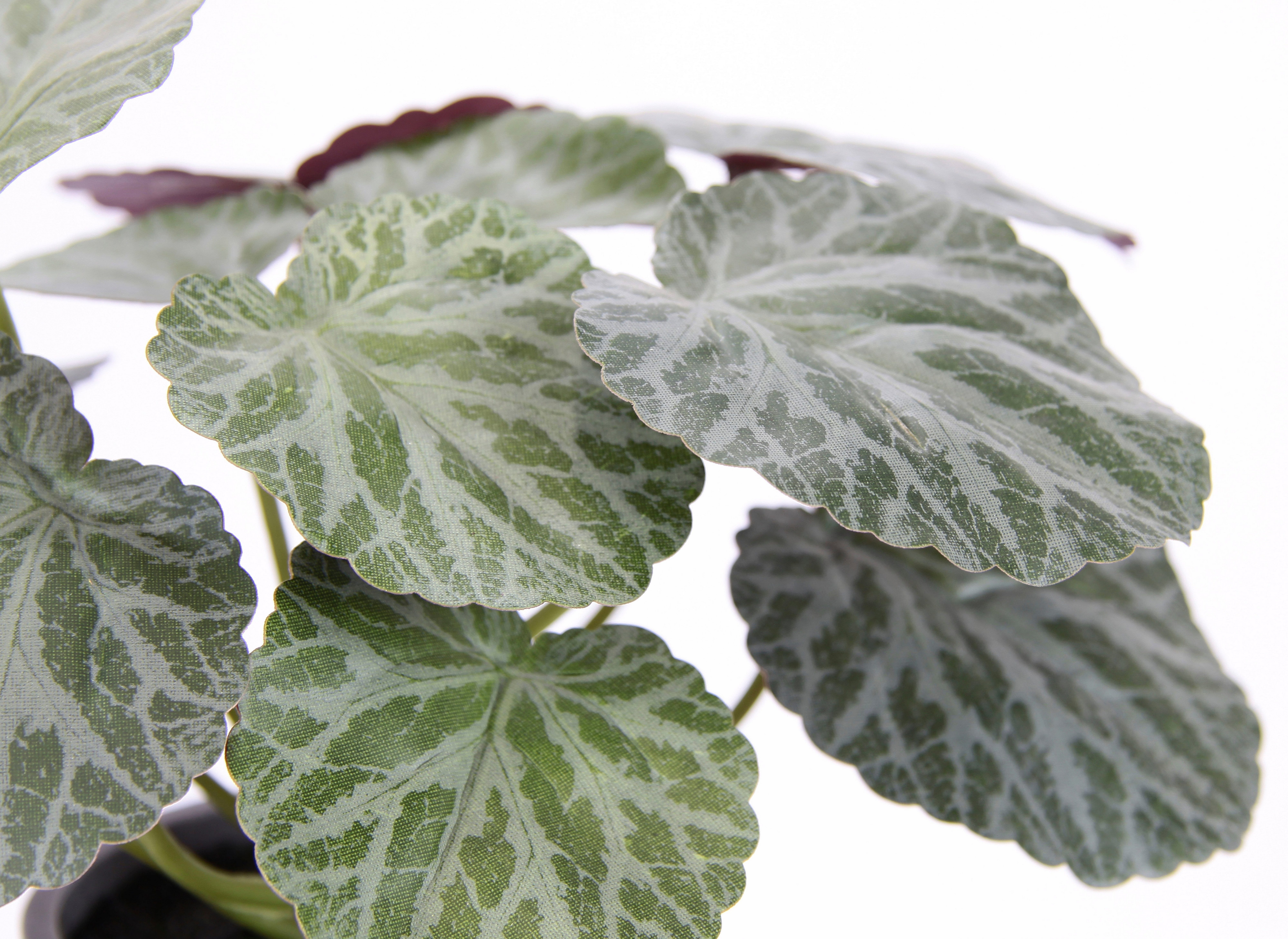 I.GE.A. Kunstplant Kunstmatige plant begonia in pot begonia struik bladplant Balkonplant struik bladeren kunstplant decoratie kunstbloemen potplant (2 stuks)