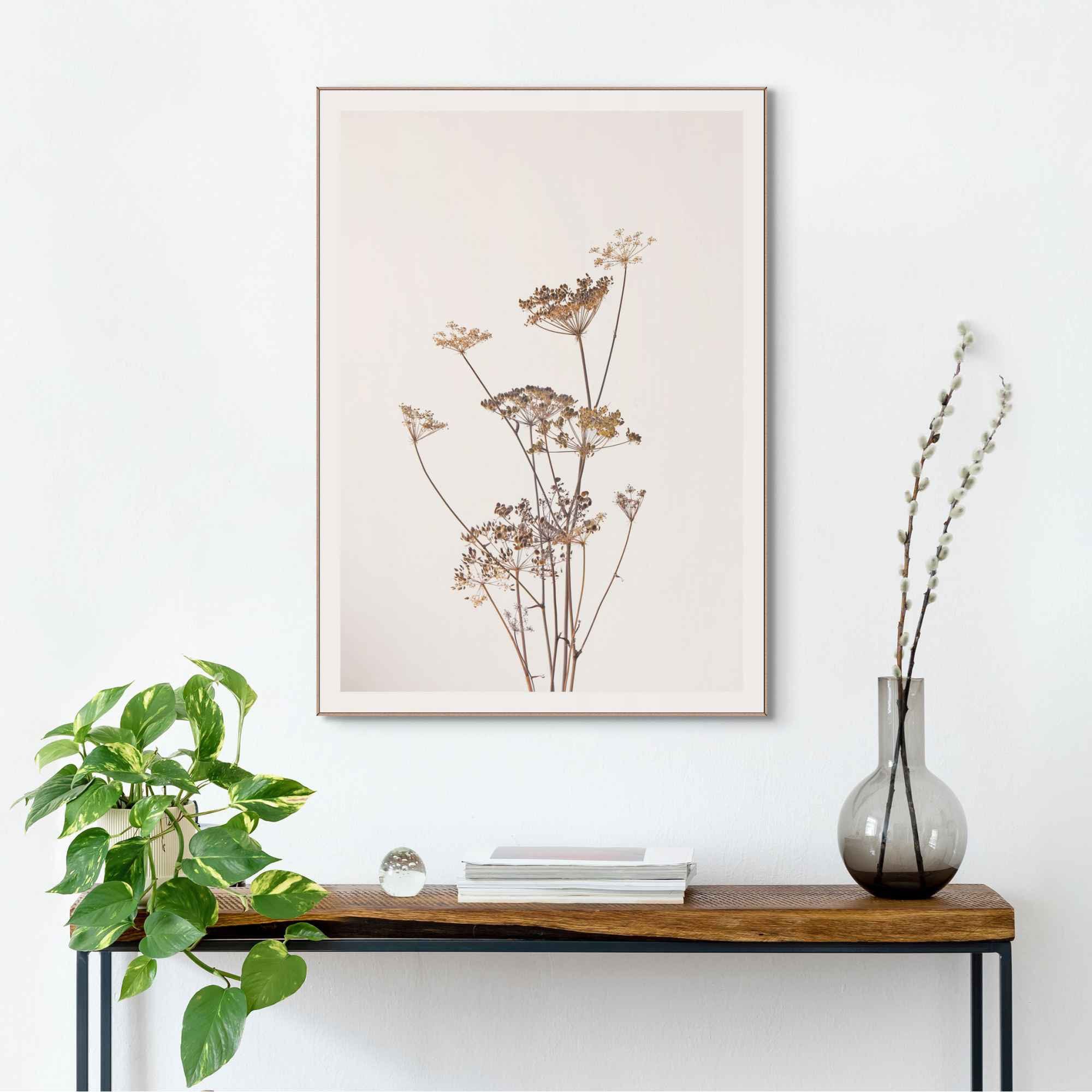 Reinders! Wanddecoratie Ingelijste print berenklauw natuur - plant - gedroogd - bloemen