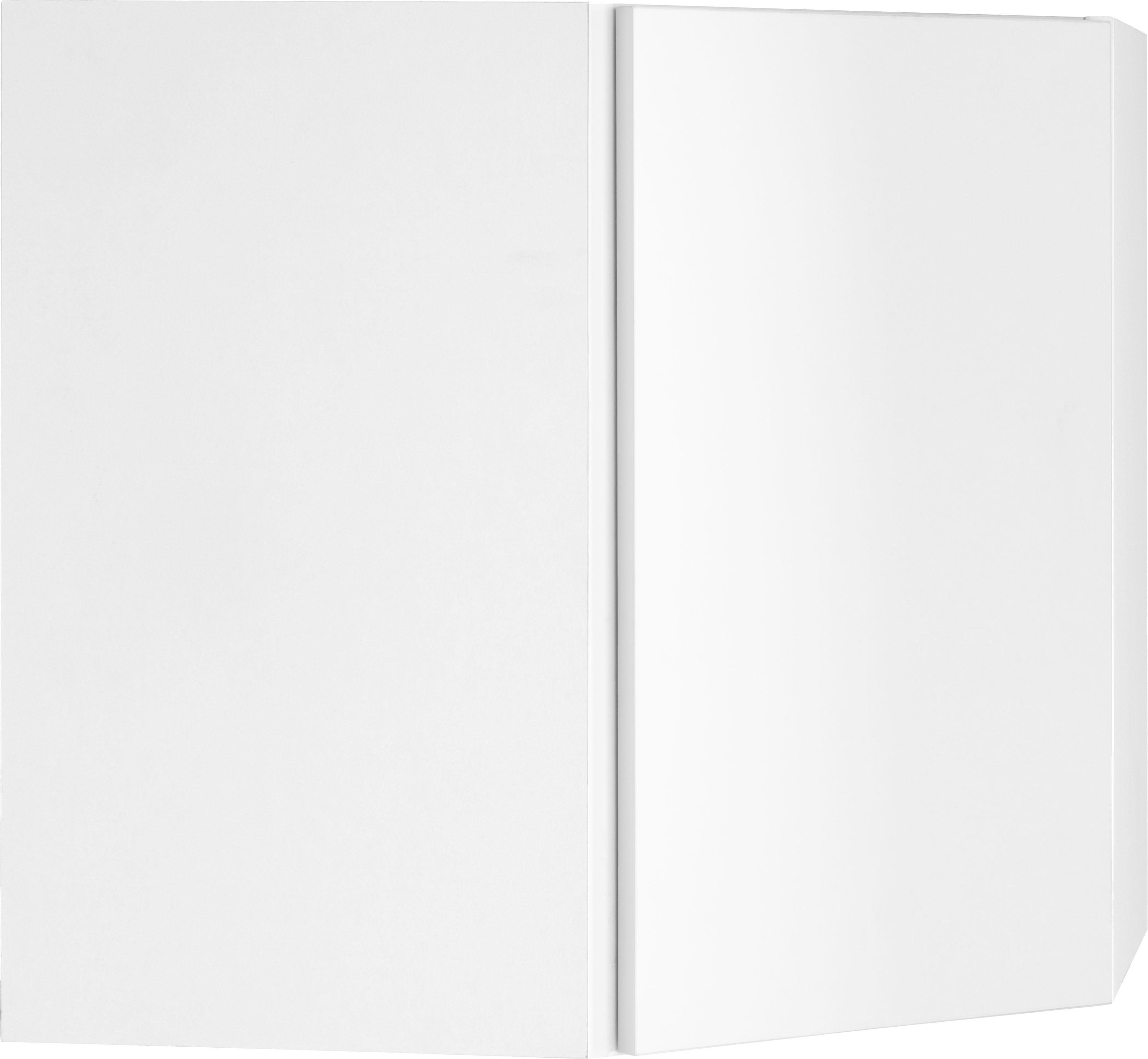 OPTIFIT Hangend hoekkastje Roth Breedte 60x60 cm