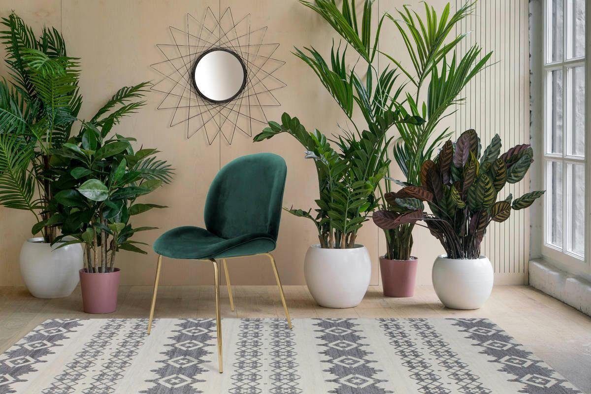 Kayoom Stoel Charlize 110 2-pack, TOPSELLER! Eetkamerstoelen, moderne uitstraling (set, 2 stuks)