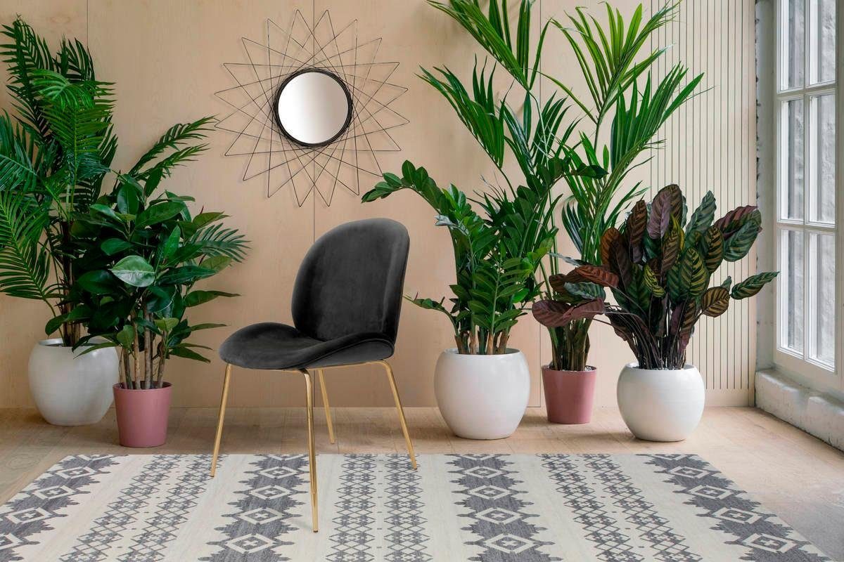 Kayoom Stoel Charlize 110 2-pack, TOPSELLER! Eetkamerstoelen, moderne uitstraling (set, 2 stuks)