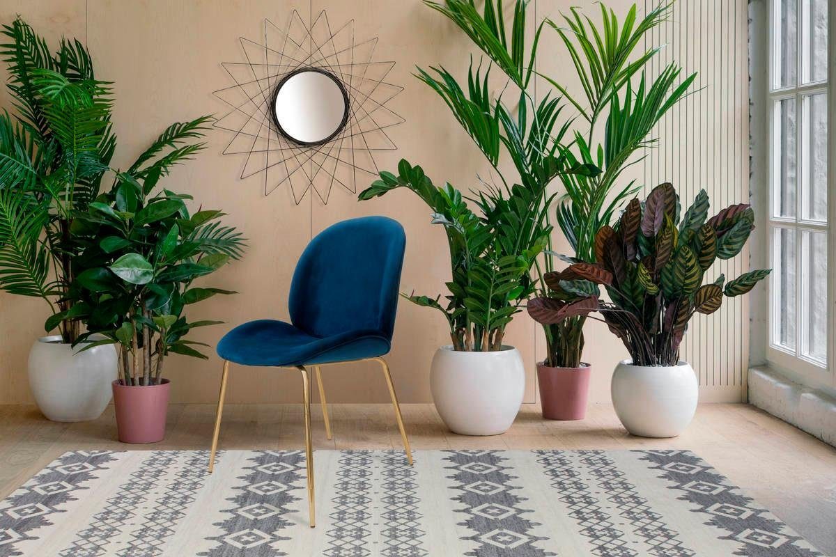 Kayoom Stoel Charlize 110 2-pack, TOPSELLER! Eetkamerstoelen, moderne uitstraling (set, 2 stuks)