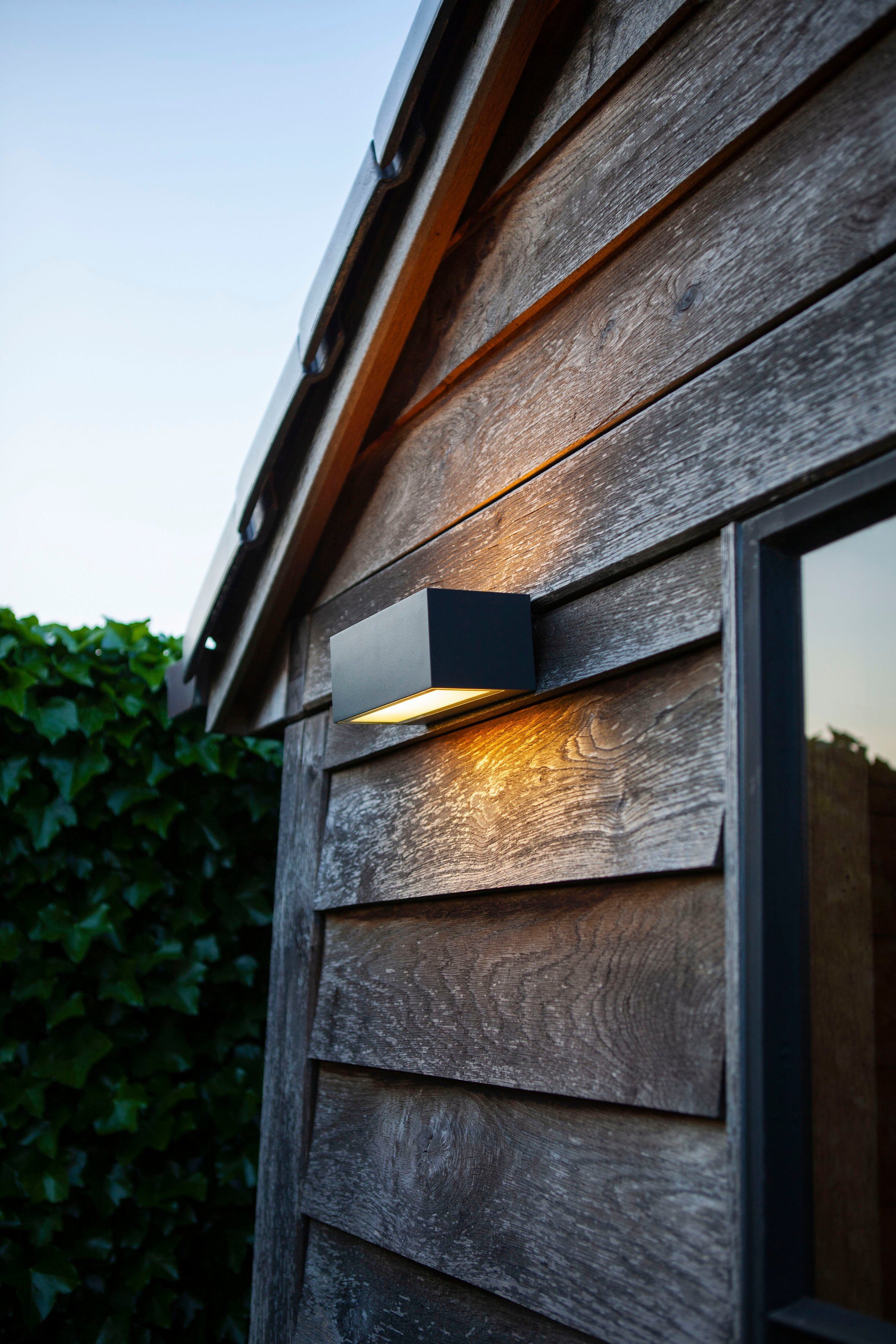 LUTEC Slimme ledlamp Gemini Smart-home (1 stuk)
