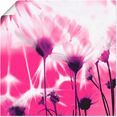 artland artprint pluizenbol abstract in vele afmetingen  productsoorten -artprint op linnen, poster, muursticker - wandfolie ook geschikt voor de badkamer (1 stuk) roze