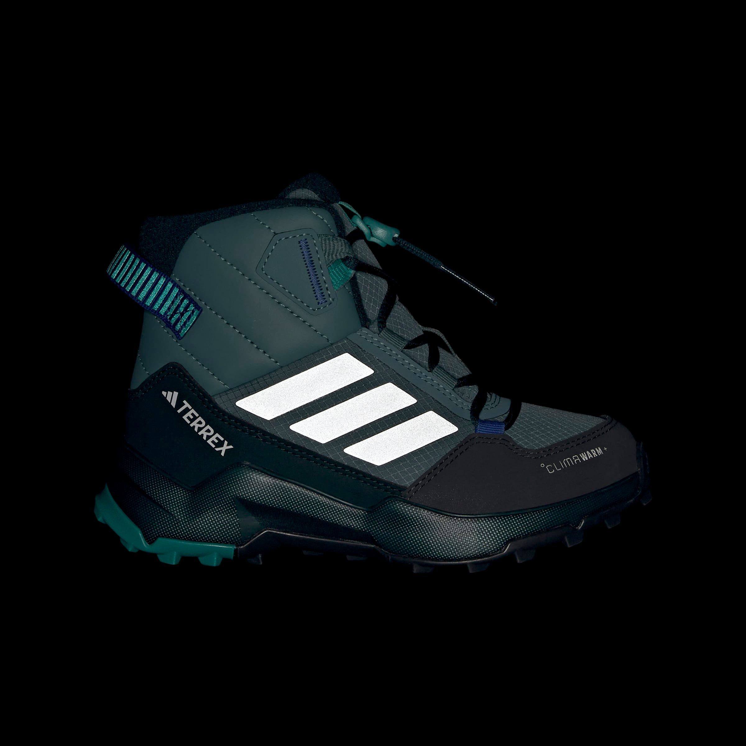 adidas TERREX Wandelschoenen