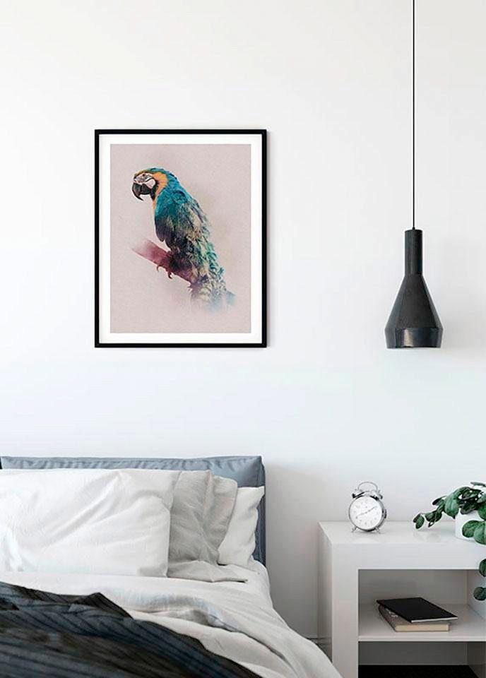 Komar Wanddecoratie Animals Paradise Parrot Wanddecoratie - zonder lijst (1 stuk)