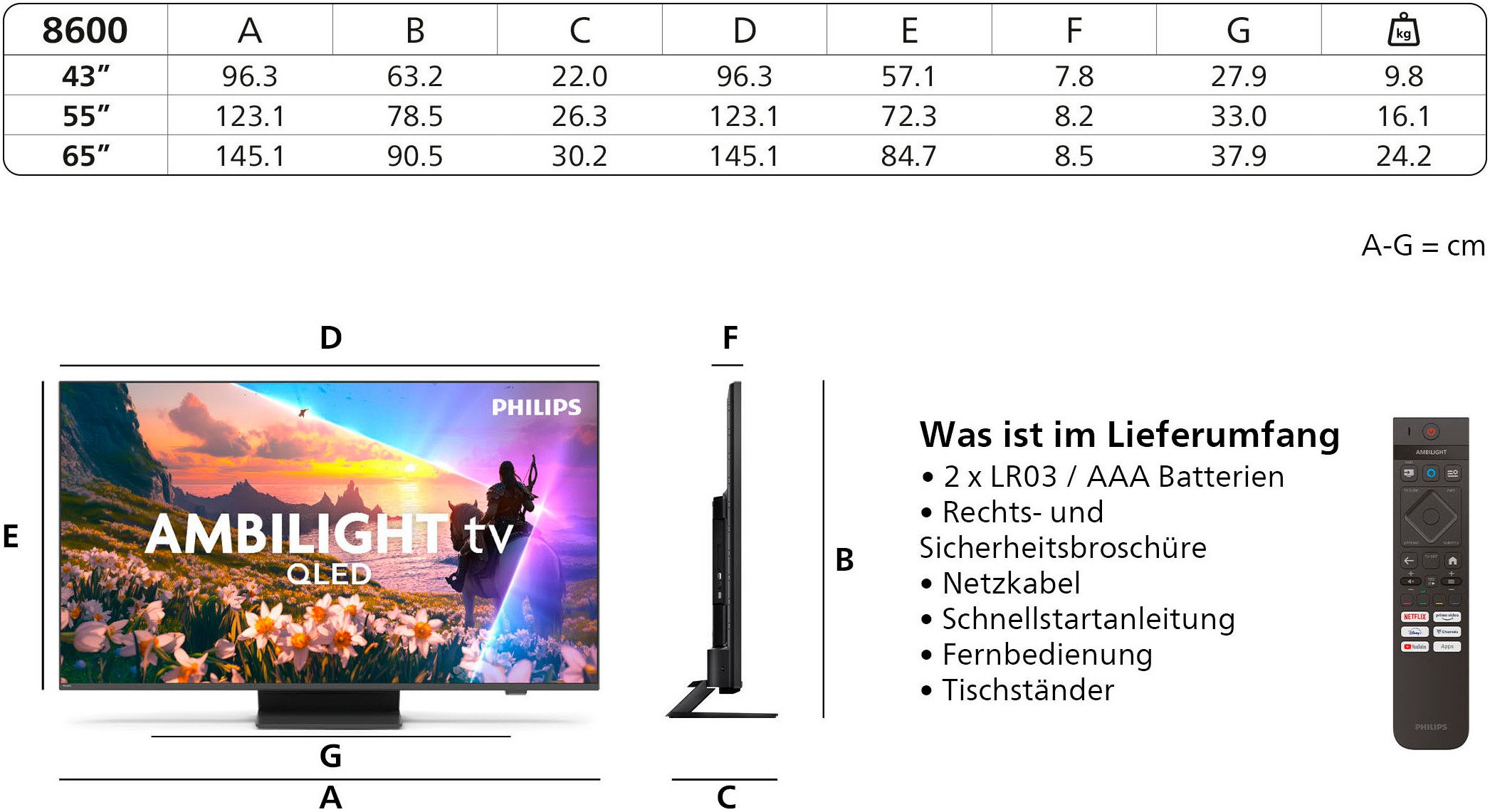Philips QLED-TV 65PUS8600/12