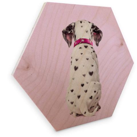 Wall-Art artprint op hout Dalmatiner artprint op hout Hunde Bilder