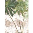 komar fotobehang palmera (set) groen