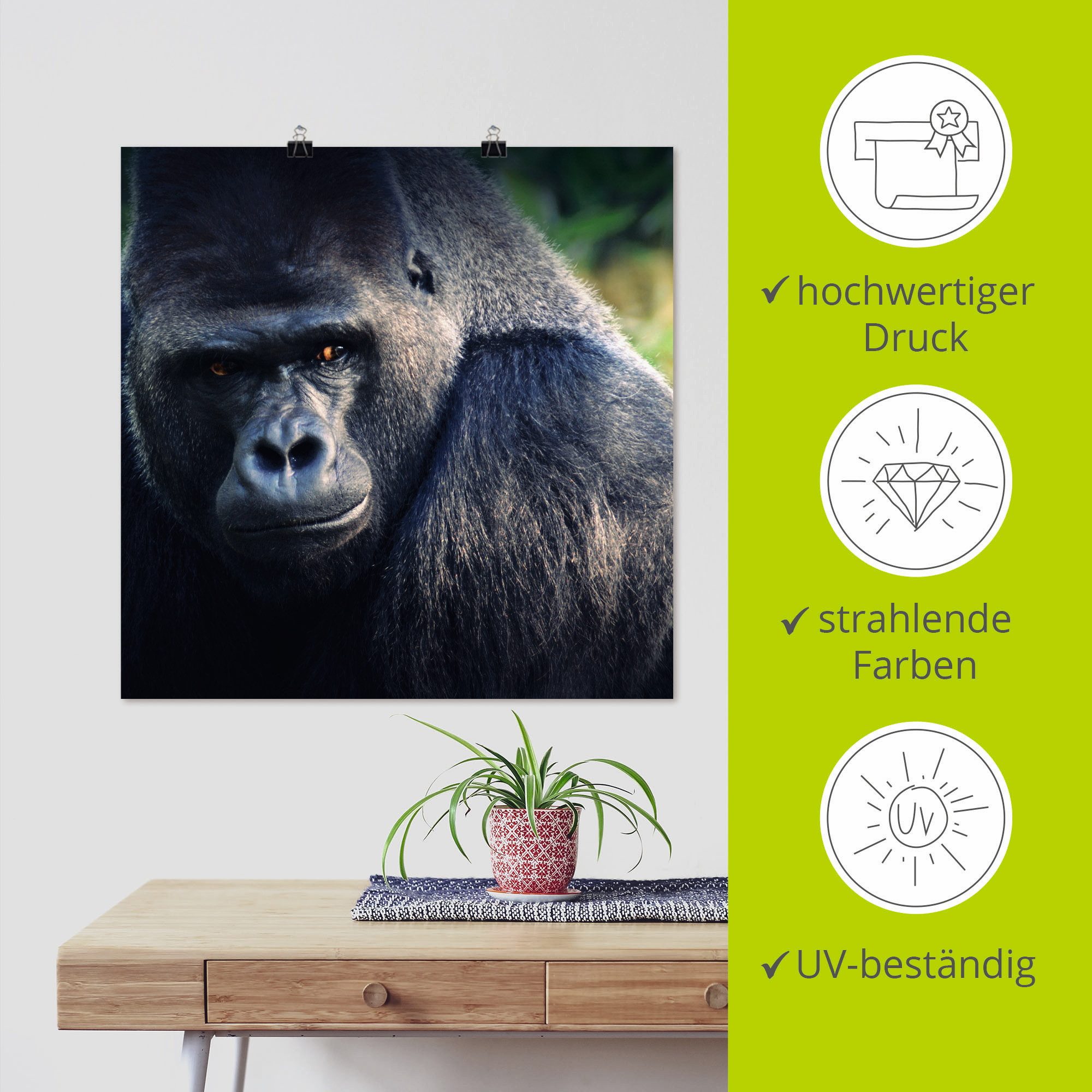 Artland Poster Gorilla als artprint op linnen, muursticker of poster in verschillende maten